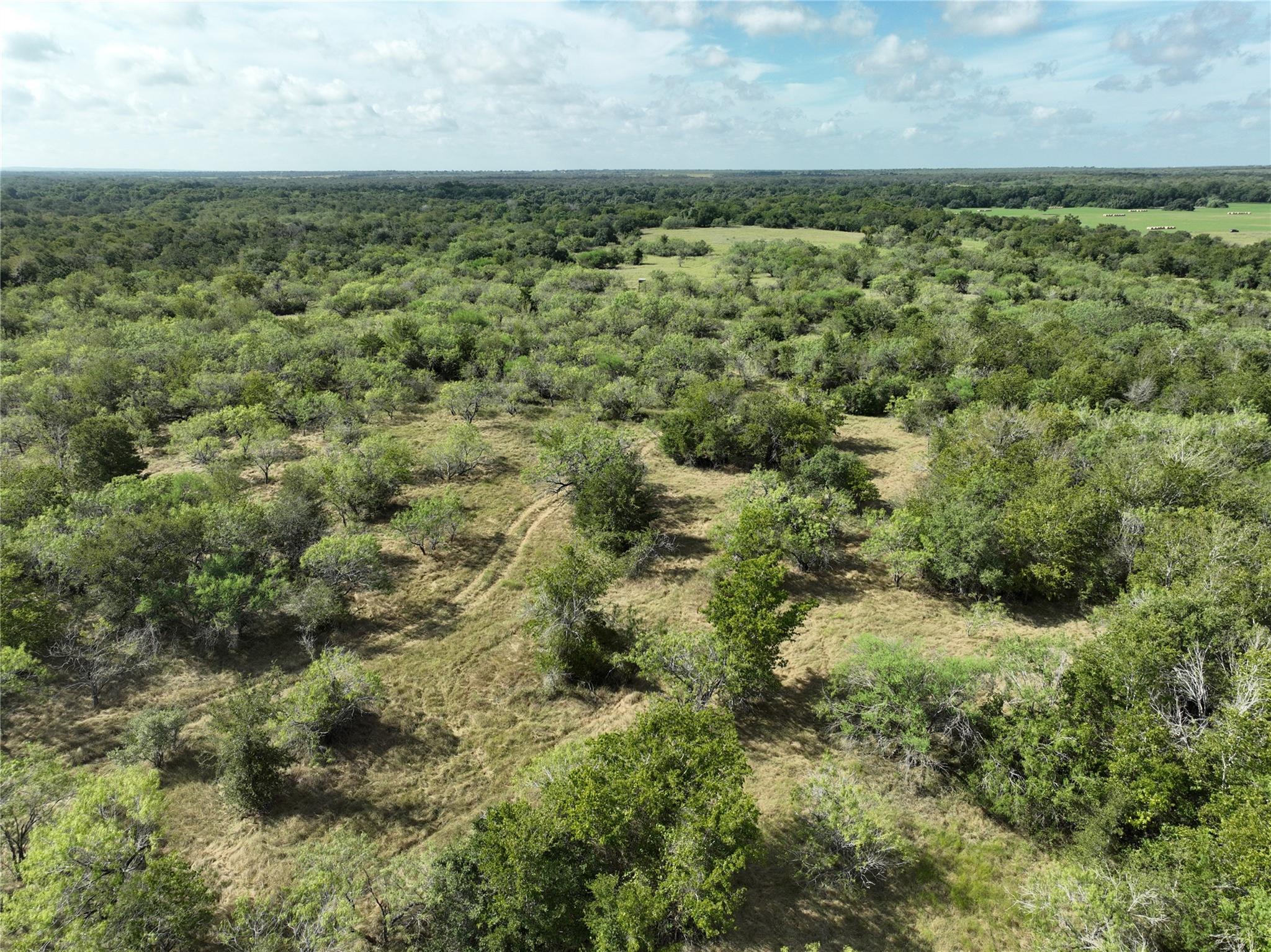 Tbd Lot 16 Cr 424 Rd Property Photo 6