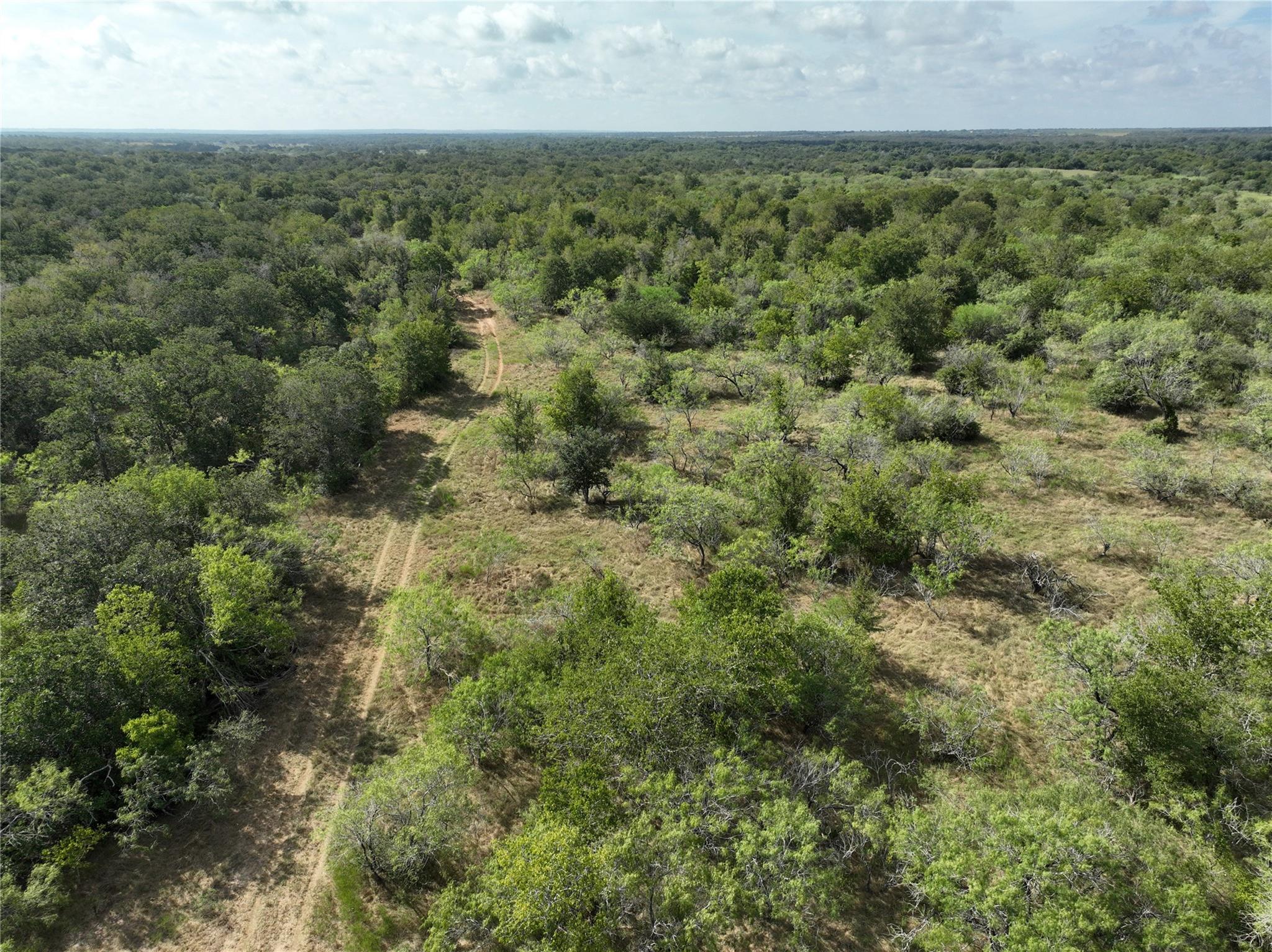 Tbd Lot 16 Cr 424 Rd Property Photo 10