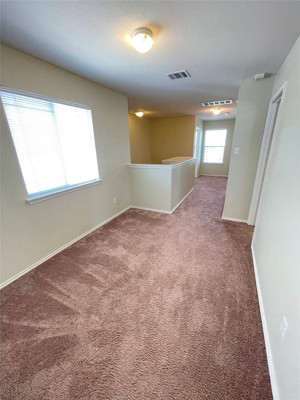 810 Palo Duro Dr Property Photo 13