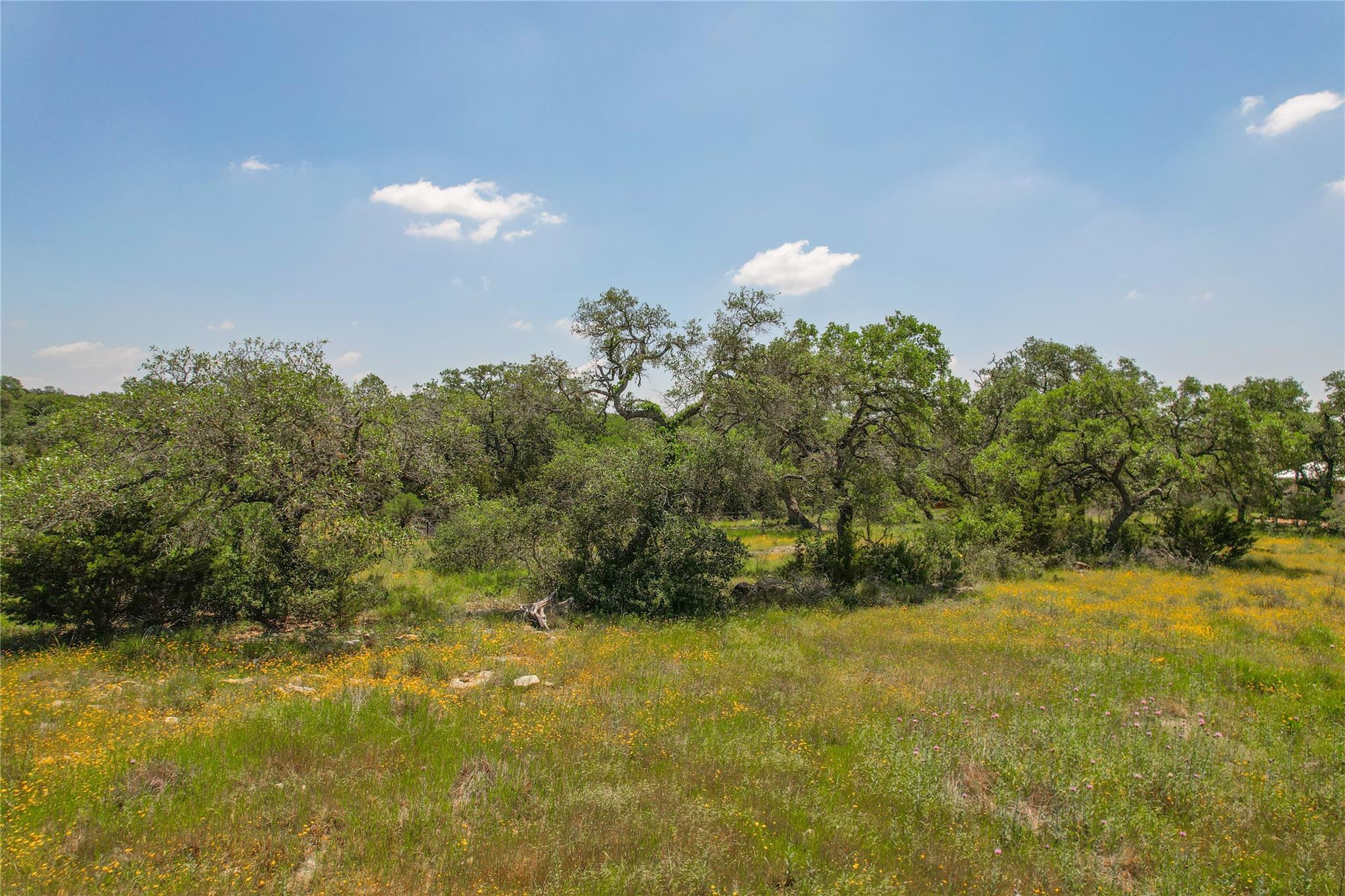 121 Asa Harold Property Photo 1