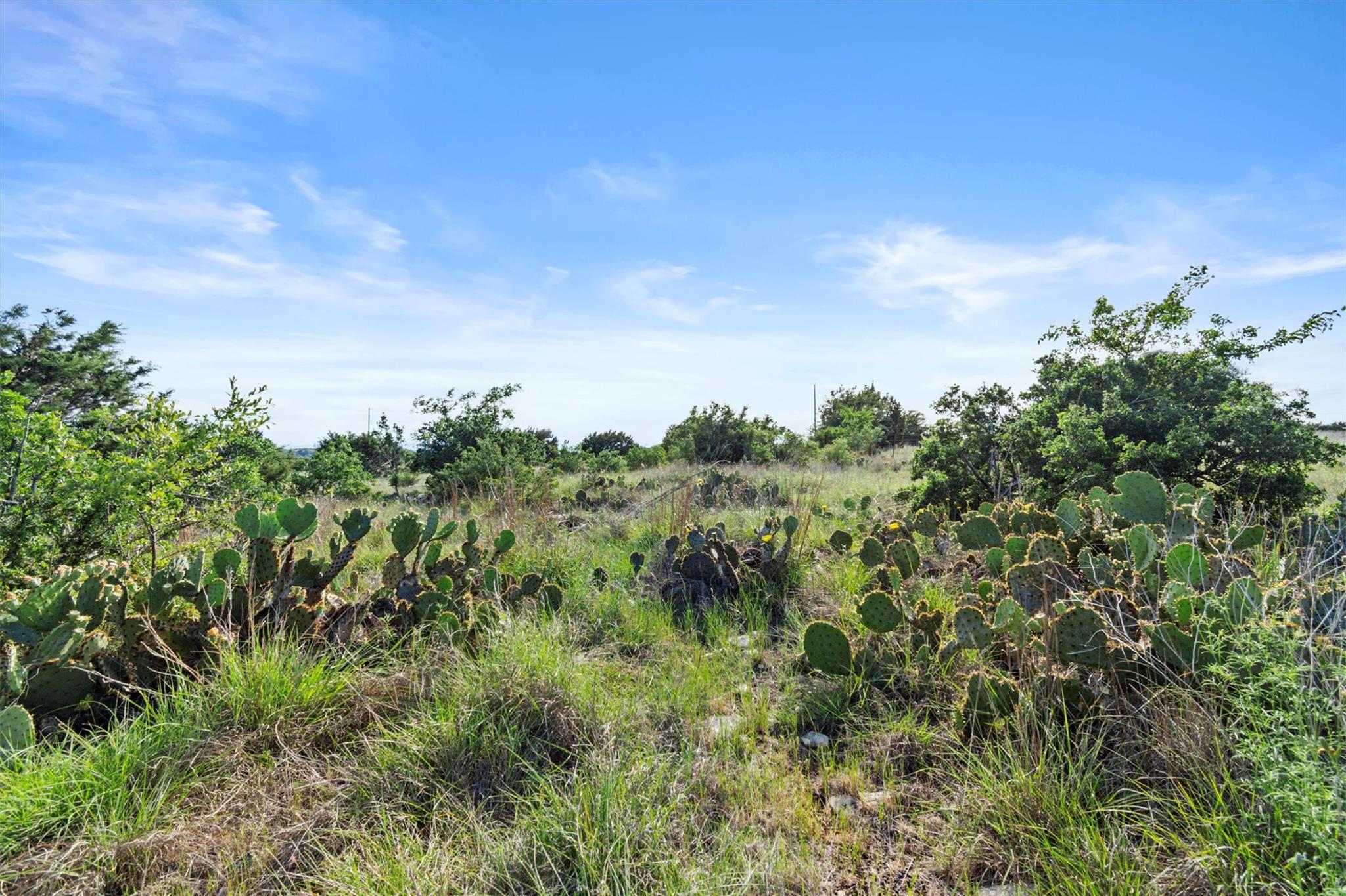 Tbd Indian Sky Ct Property Photo 11