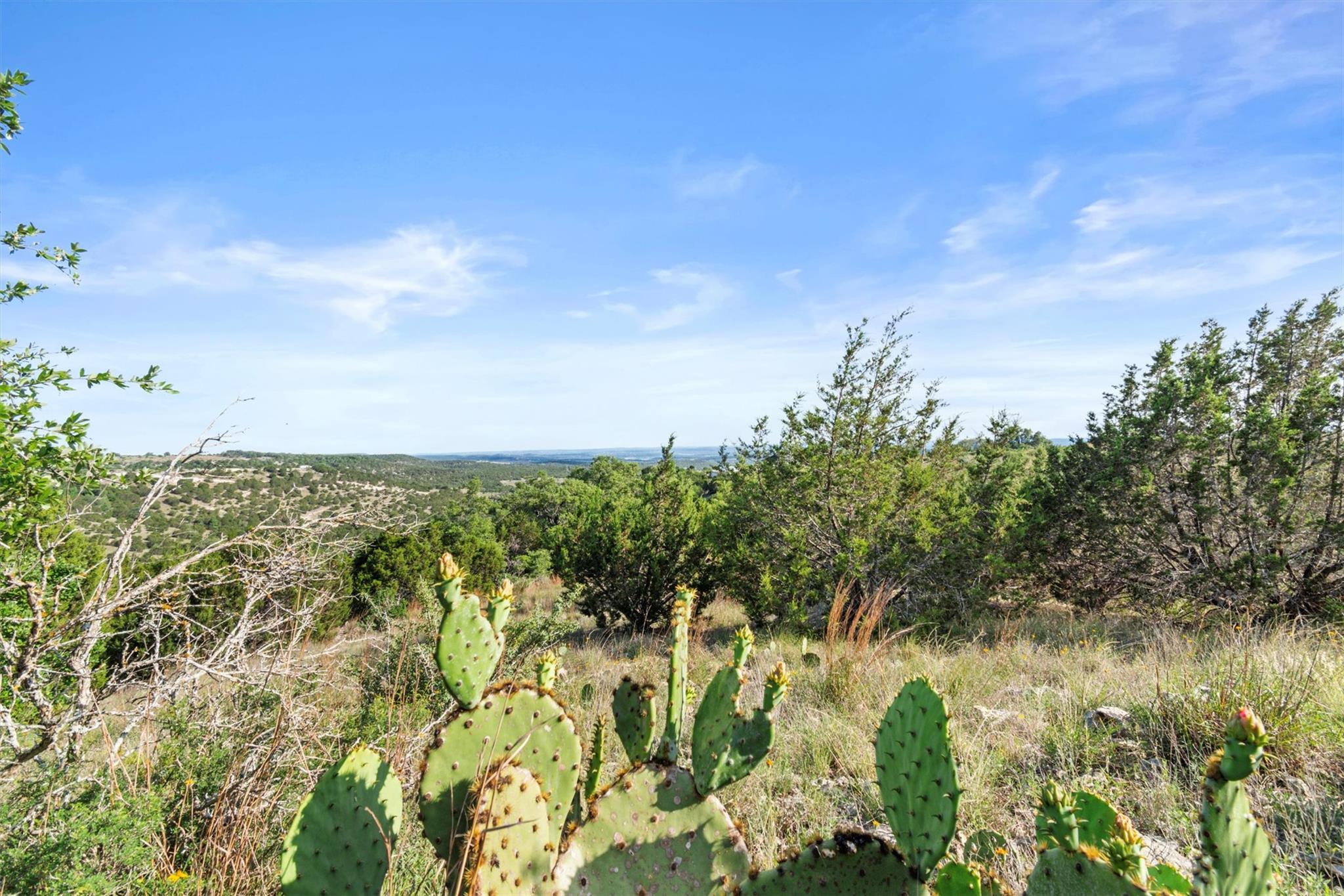 Tbd Indian Sky Ct Property Photo 17