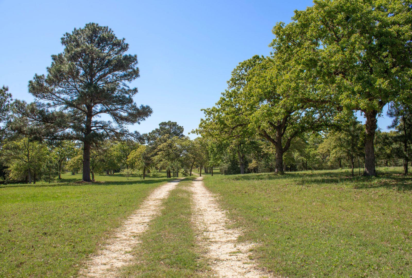 490 John Craft Rd Property Photo 6
