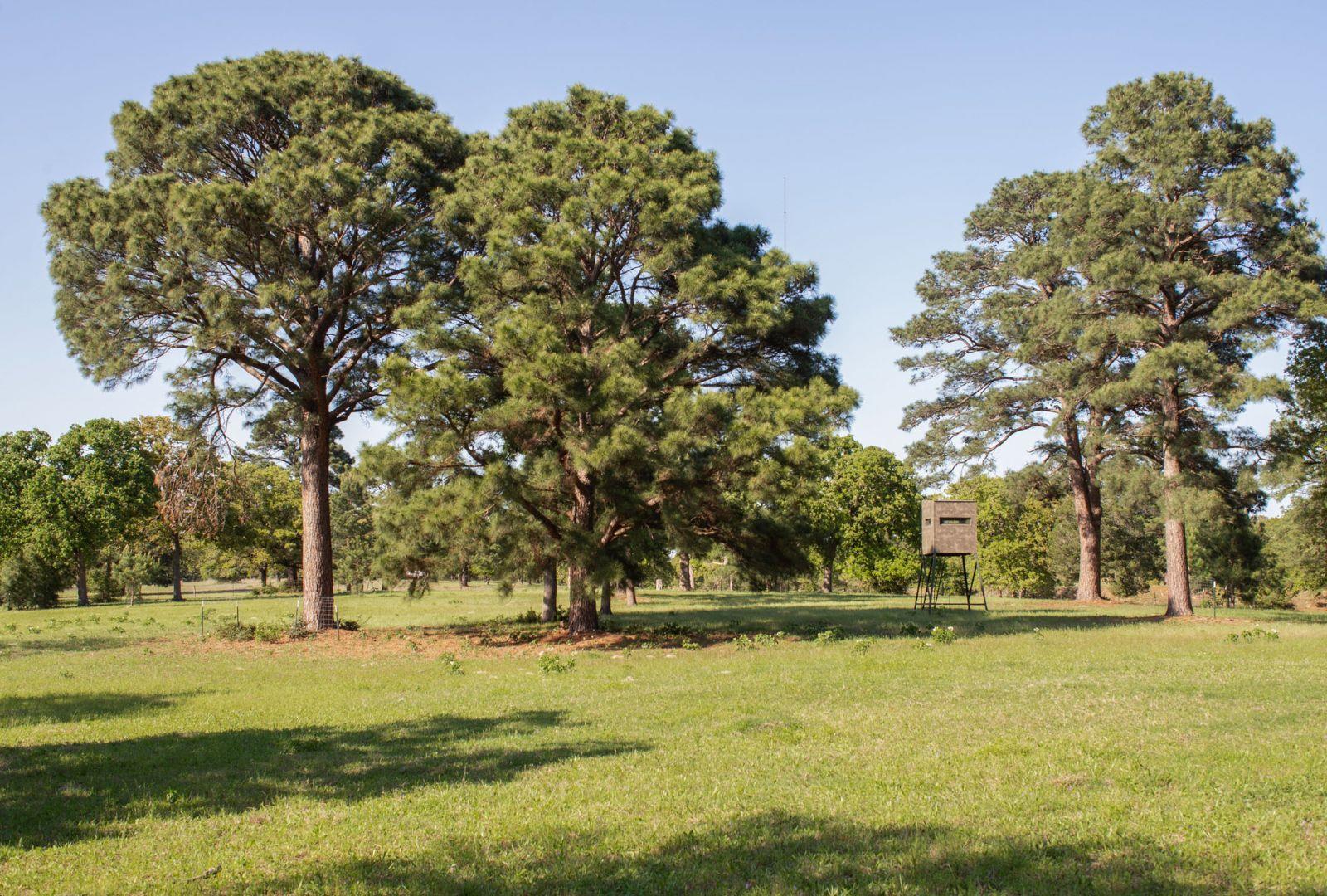 490 John Craft Rd Property Photo 7