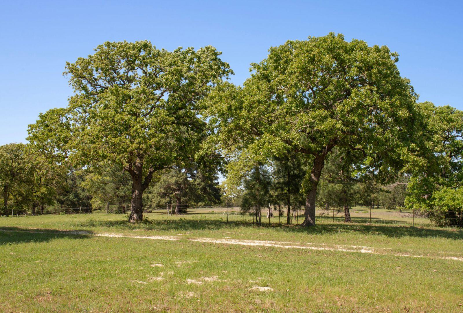 490 John Craft Rd Property Photo 13