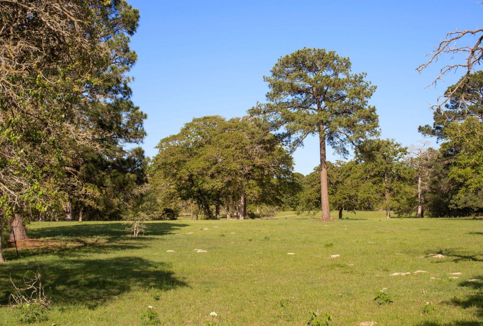 490 John Craft Rd Property Photo 27