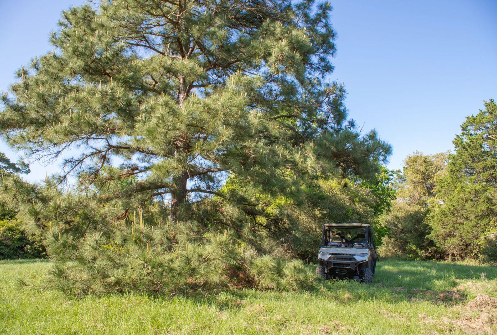 490 John Craft Rd Property Photo 31