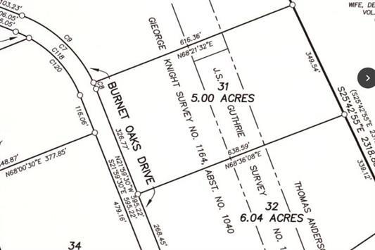 209 Burnet Oaks Dr Property Photo 4