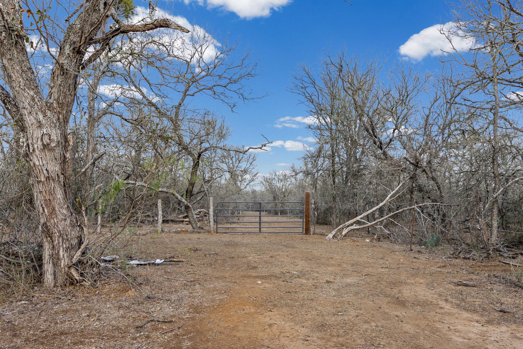 Tbd Sneed Ln Property Photo 2
