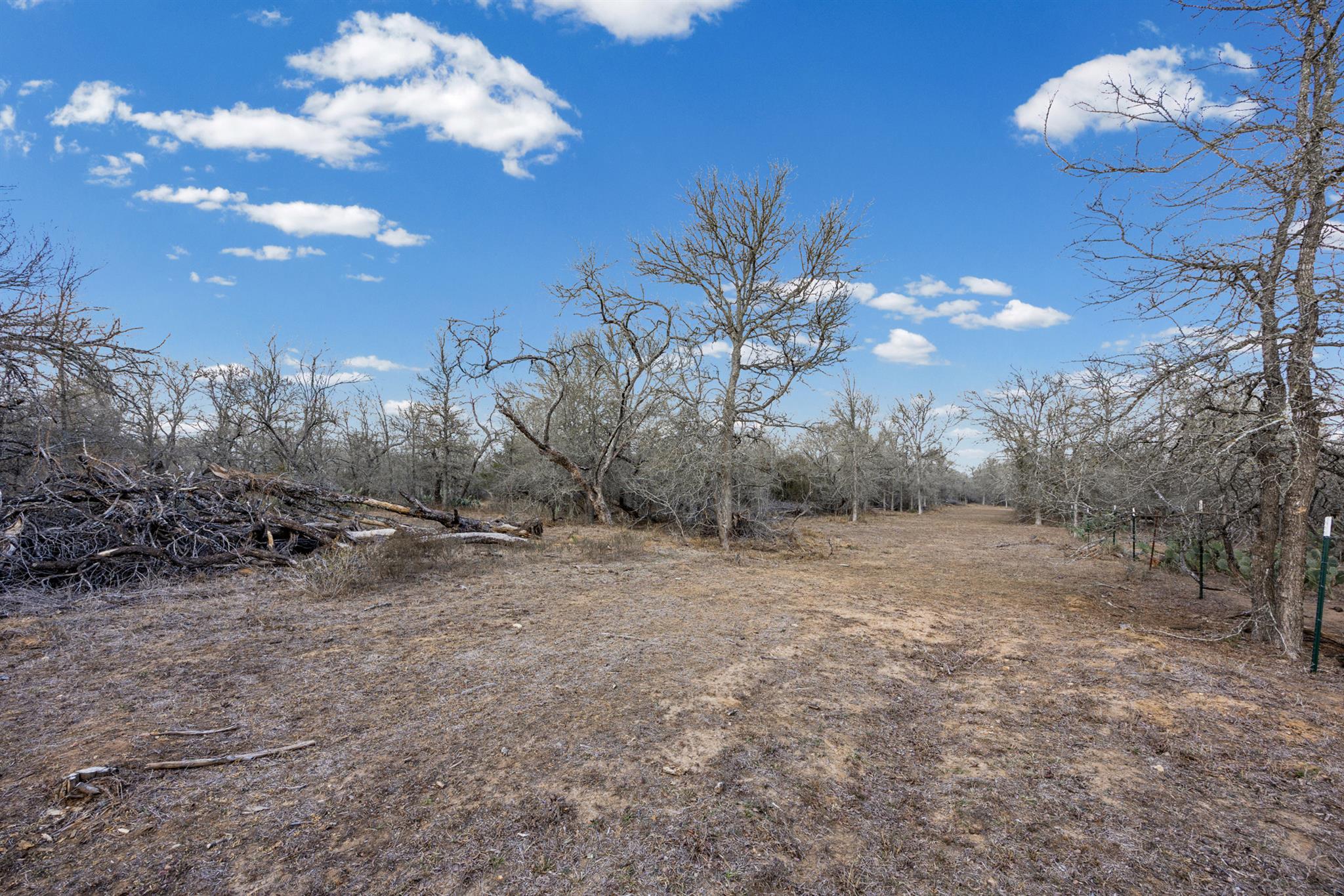 Tbd Sneed Ln Property Photo 5
