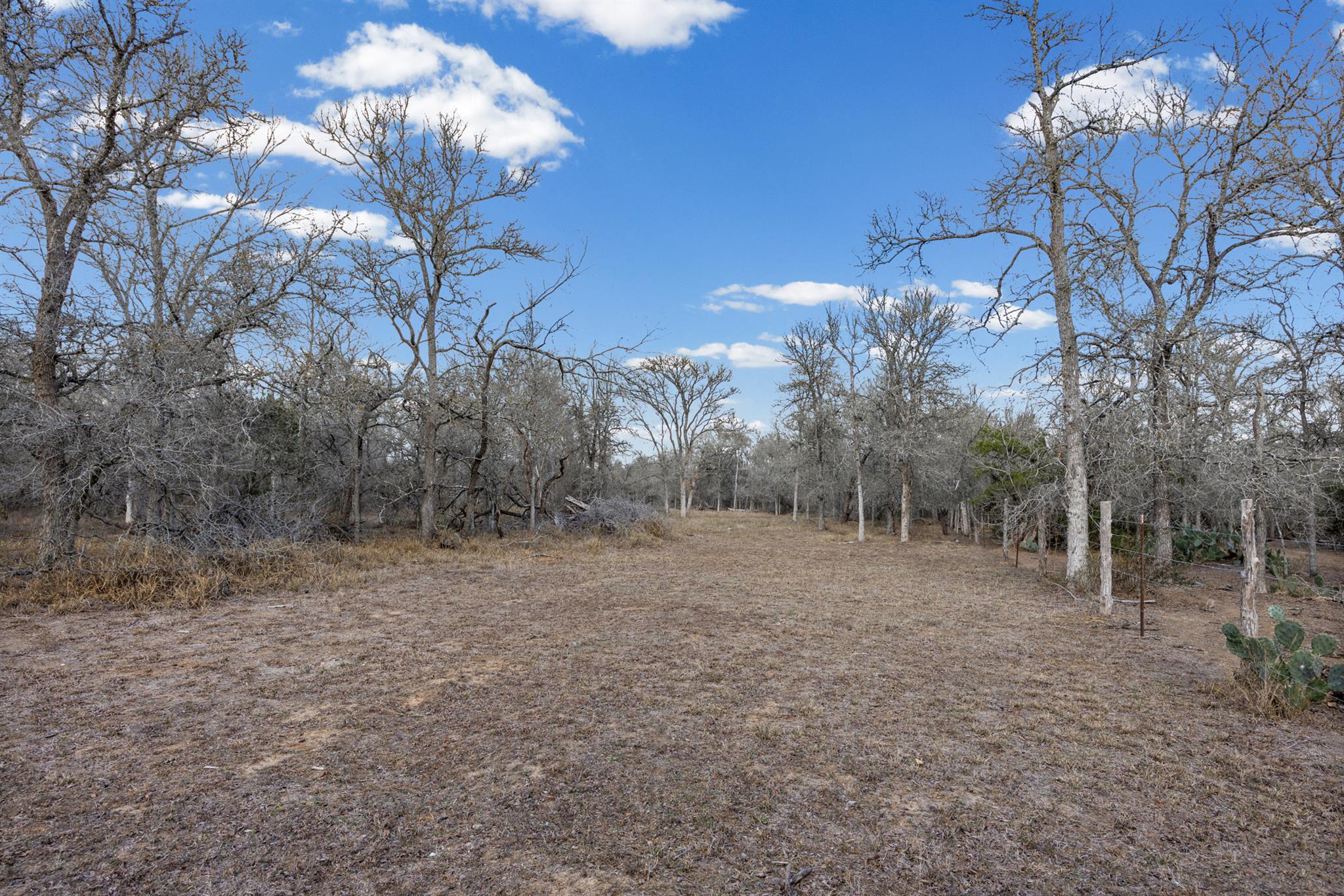 Tbd Sneed Ln Property Photo 6