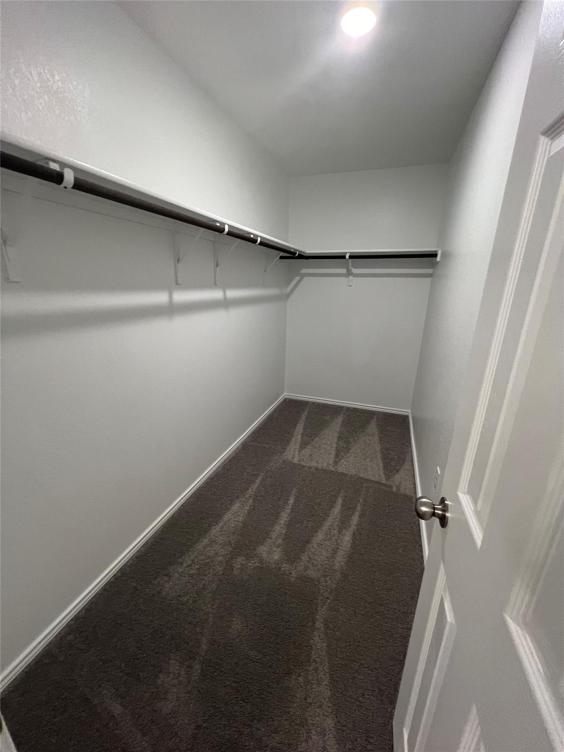 499 Tree Nut Loop Property Photo 13