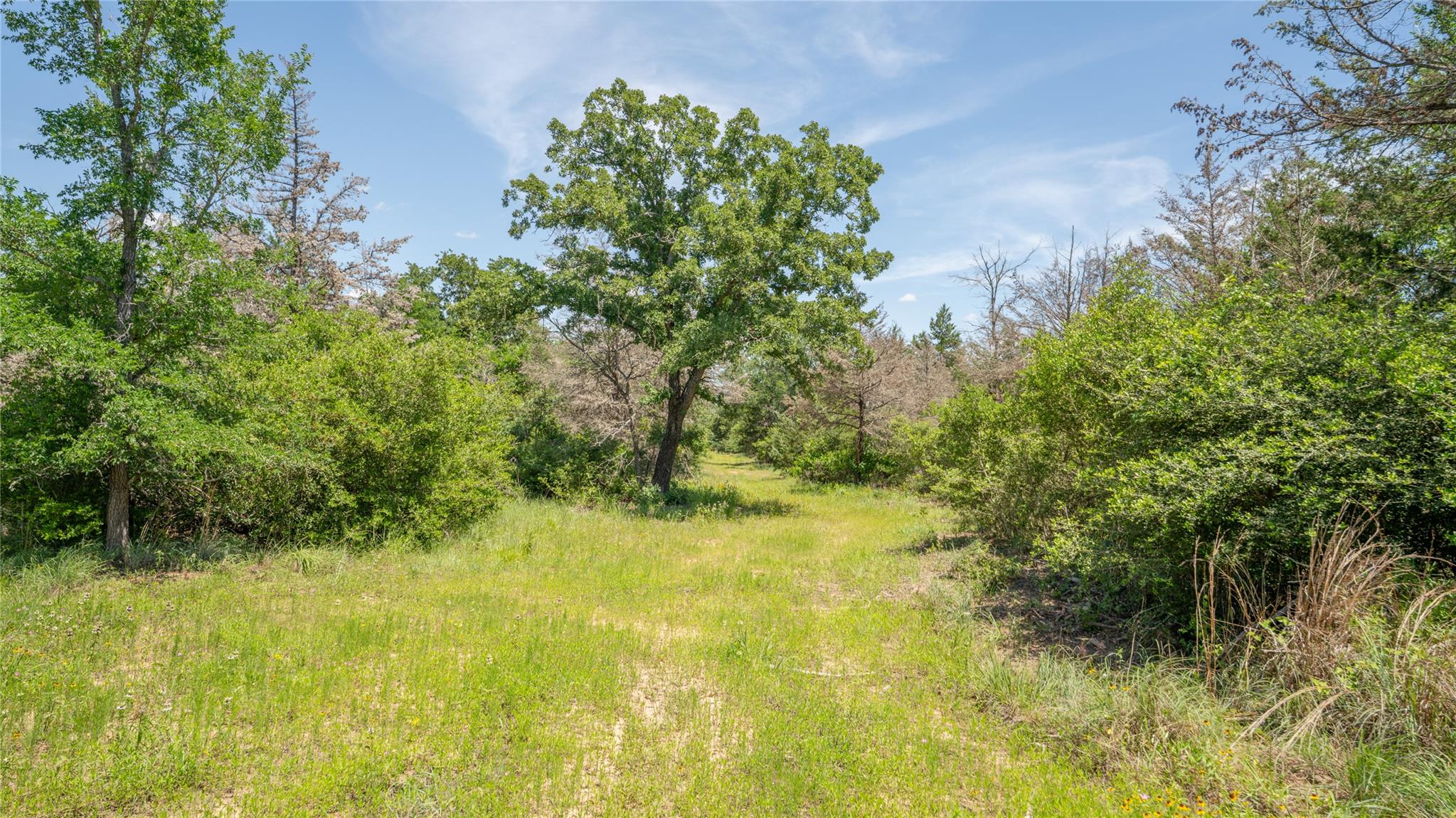 0000 Cr 330 None Property Photo 6