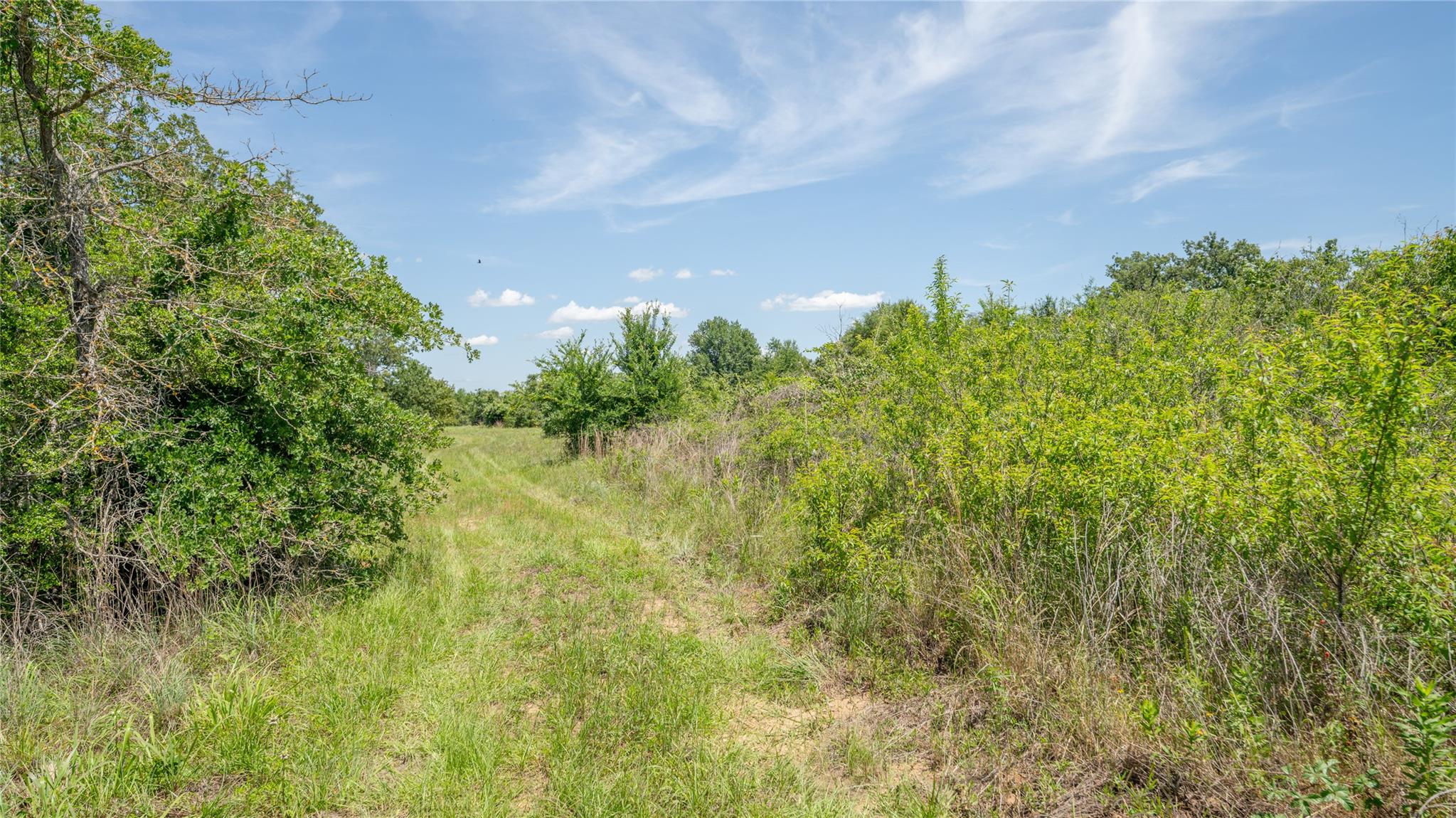 0000 Cr 330 None Property Photo 8