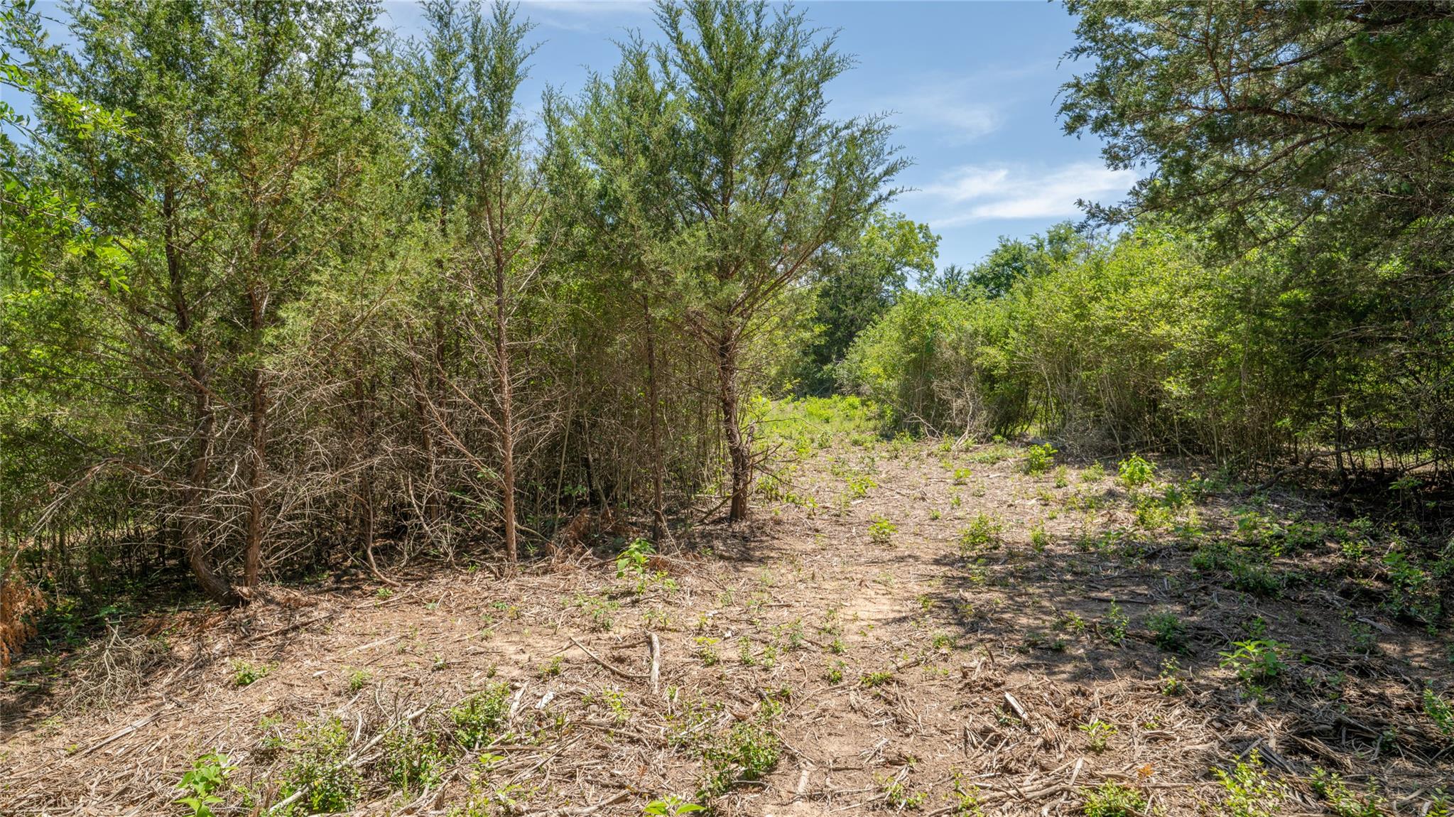 0000 Cr 330 None Property Photo 11
