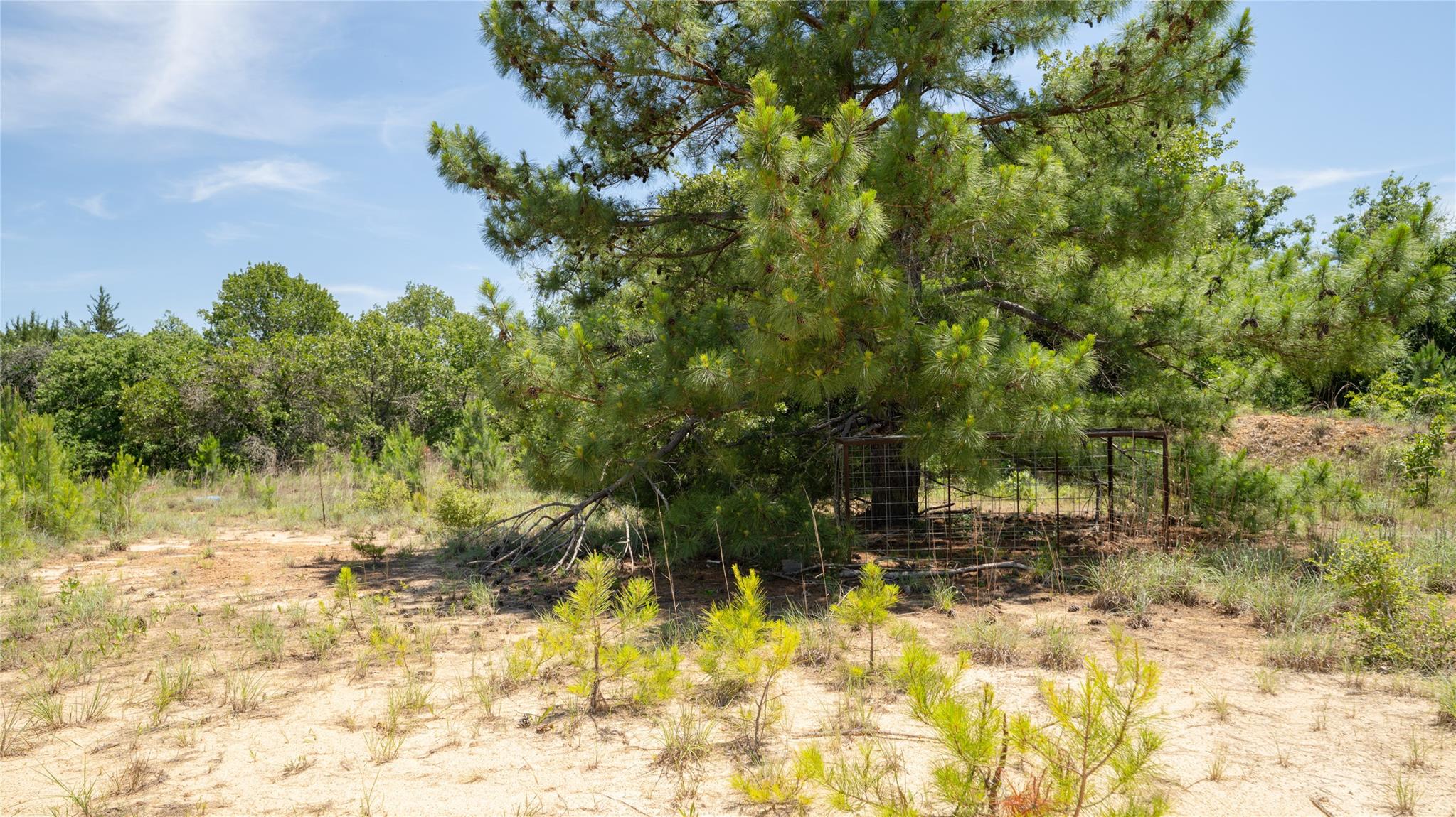 0000 Cr 330 None Property Photo 13