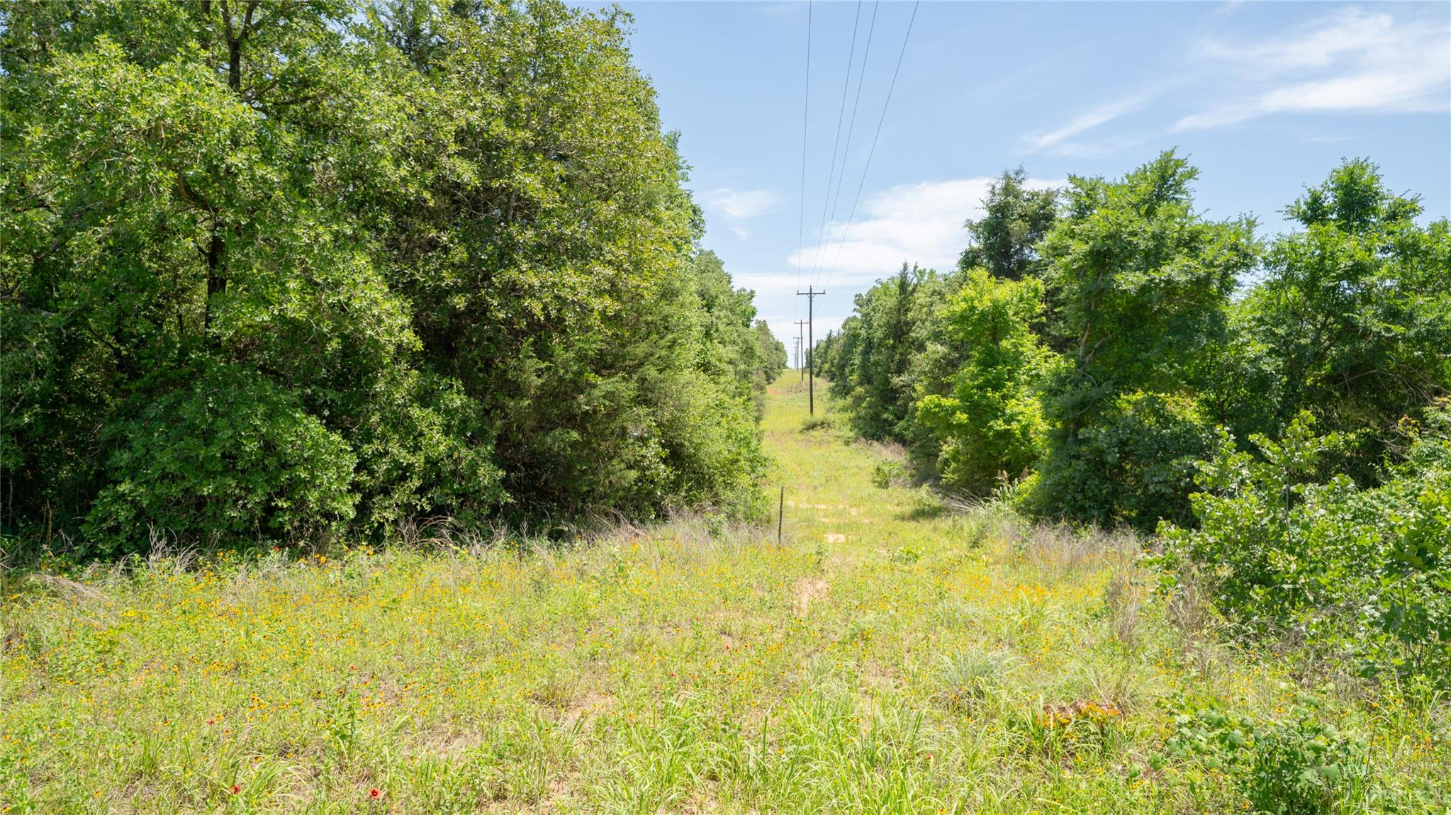 0000 Cr 330 None Property Photo 22