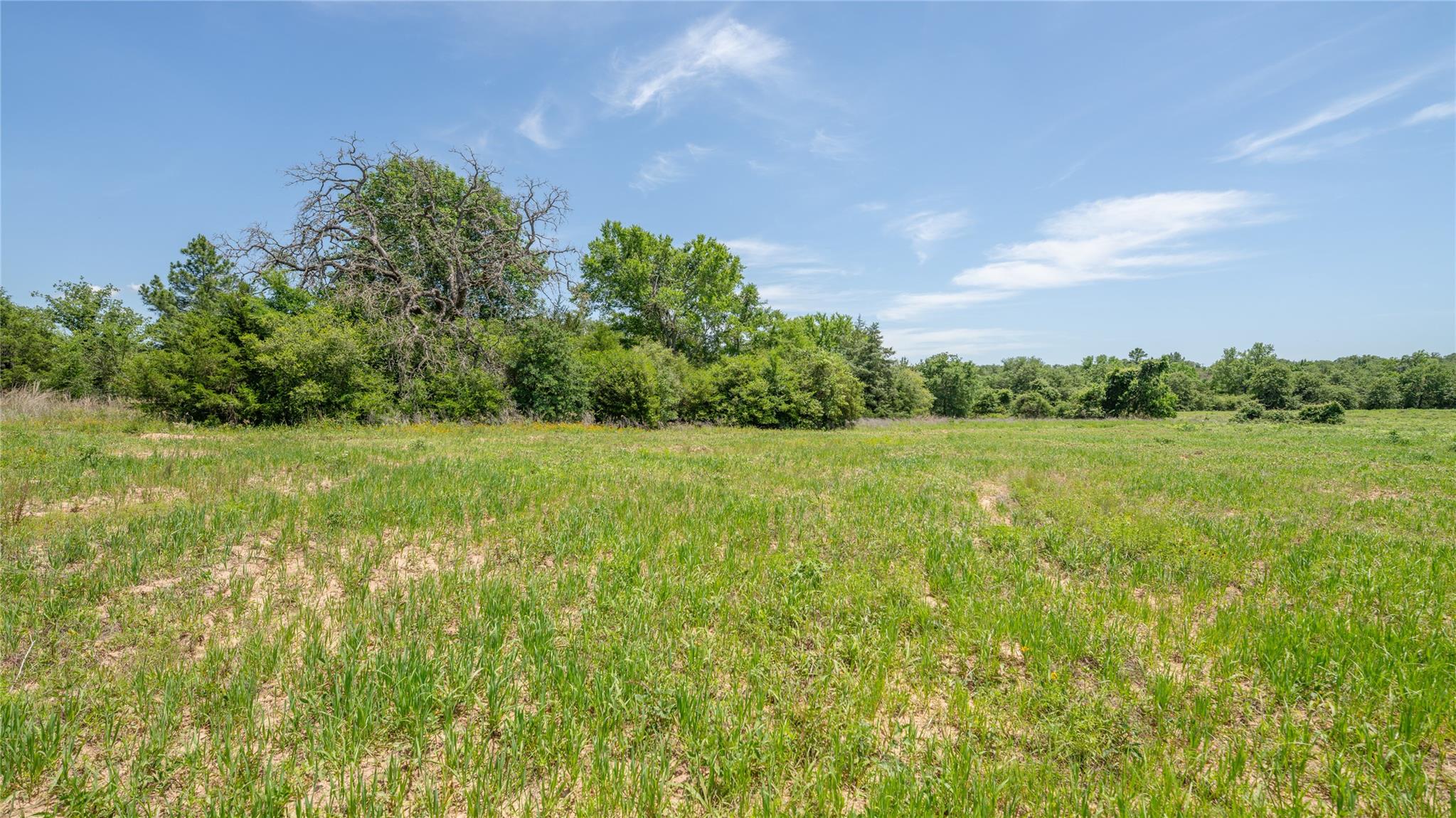 0000 Cr 330 None Property Photo 26
