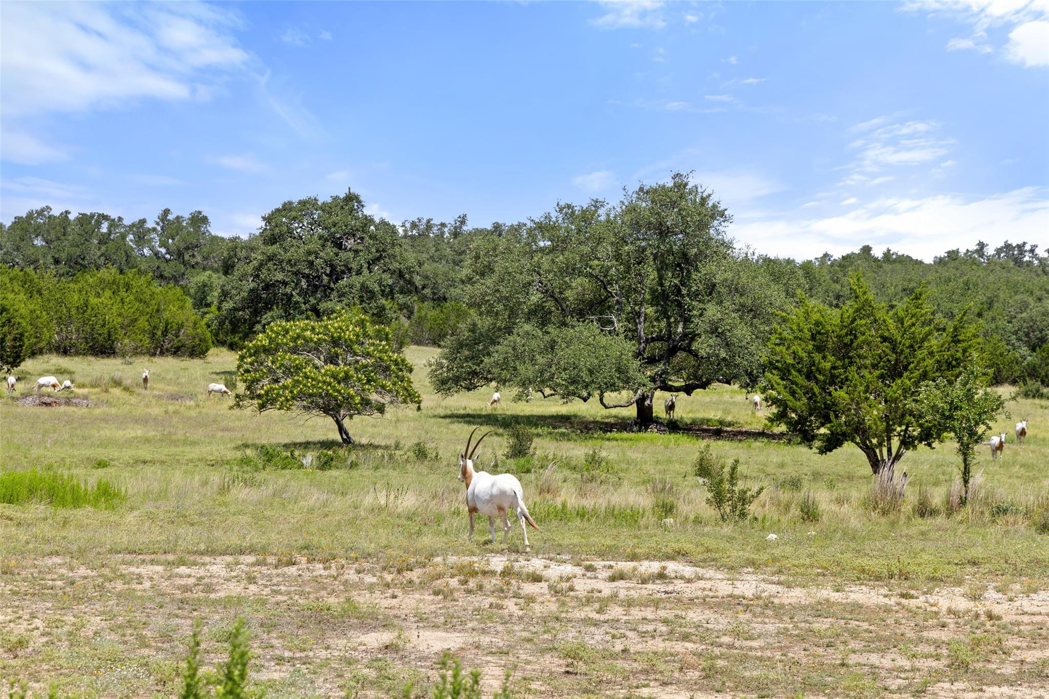 Lot 162 Legacy Hills None Property Photo 15