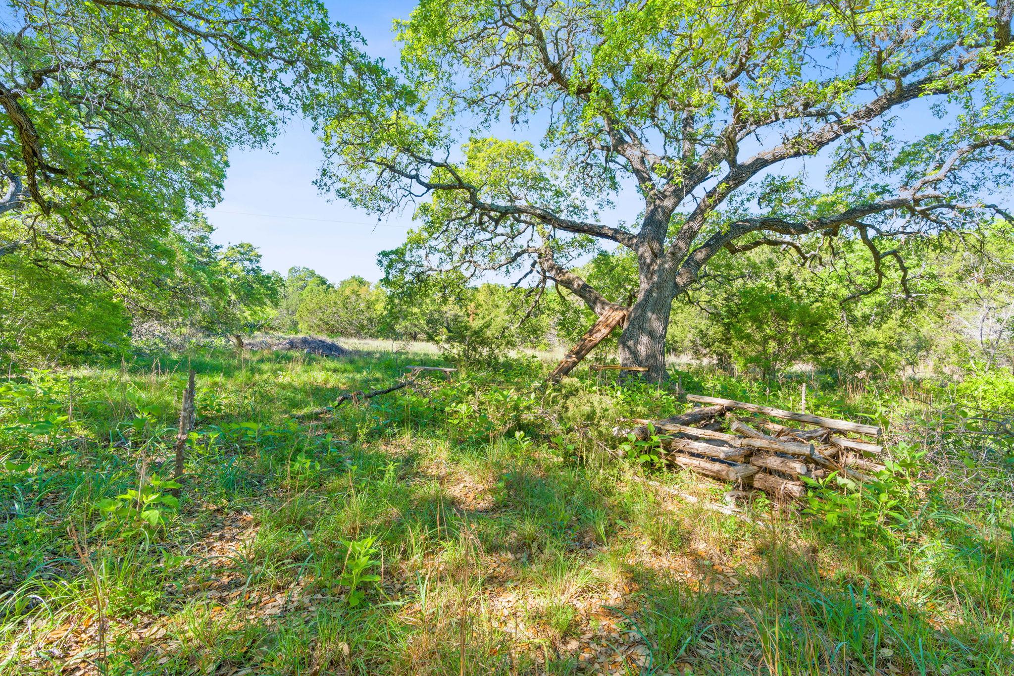 10221 David Moore Dr 1 Property Photo 3