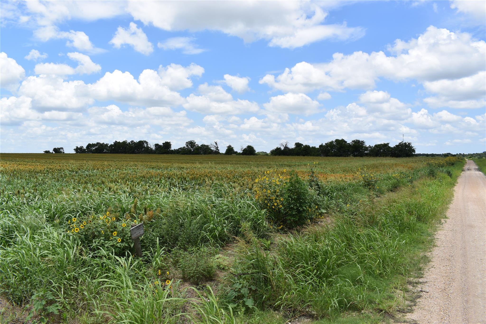 Tbd County Road 109 None Property Photo 2