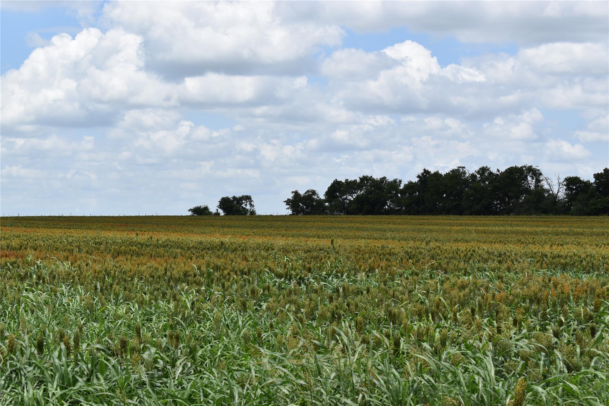 Tbd County Road 109 None Property Photo 4