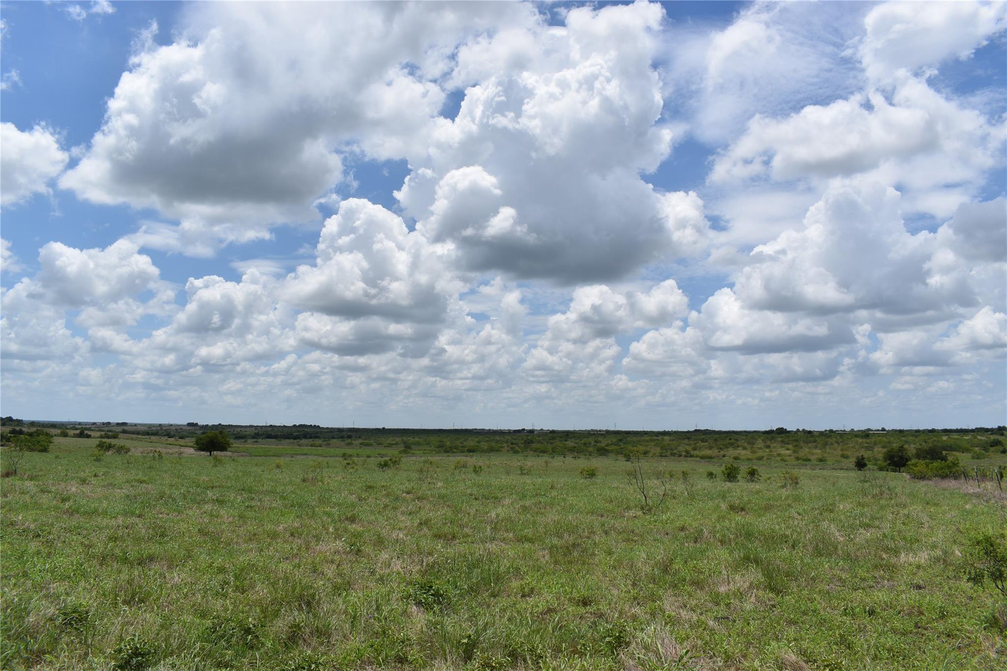 Tbd County Road 109 None Property Photo 8