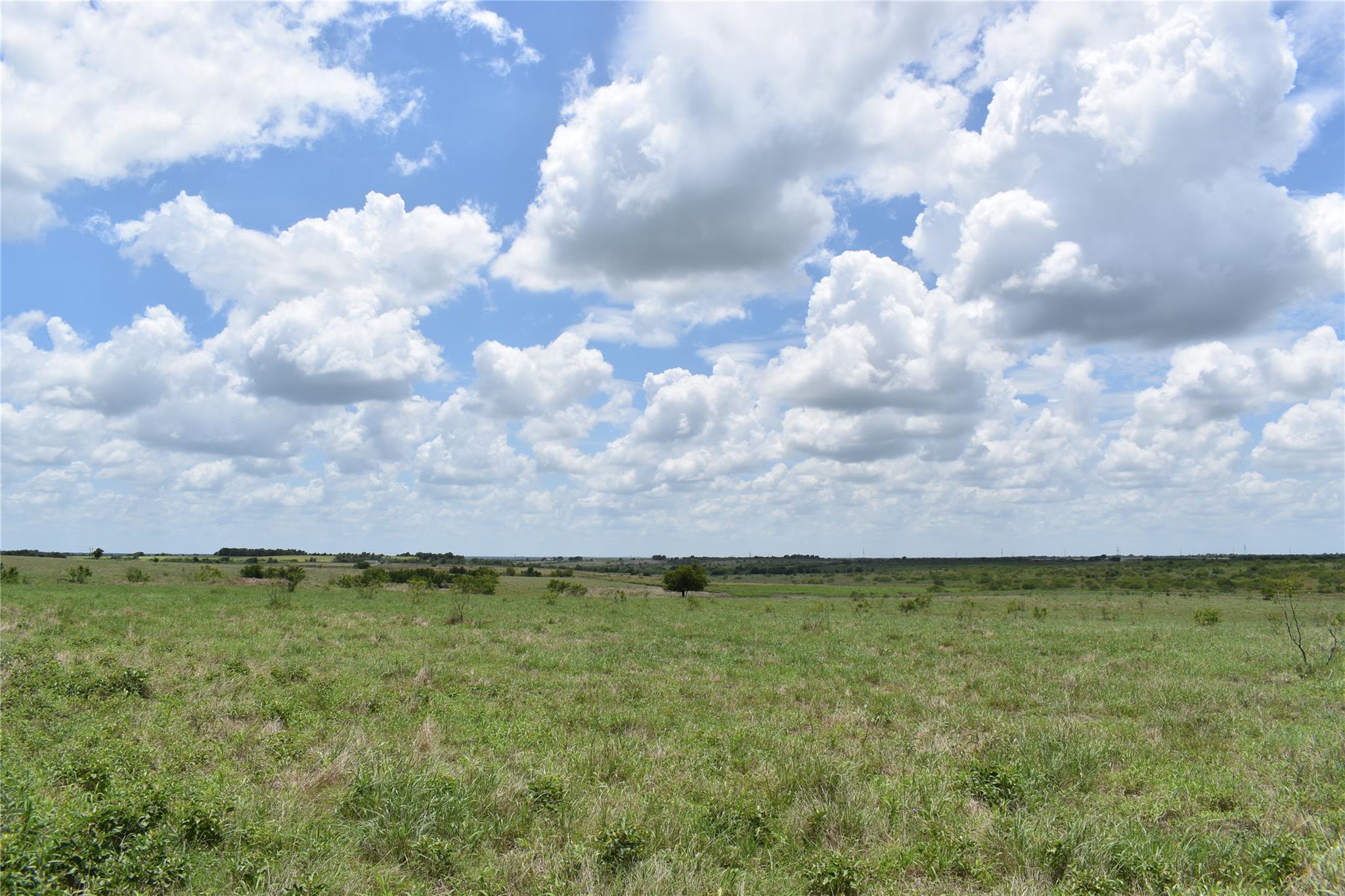 Tbd County Road 109 None Property Photo 9