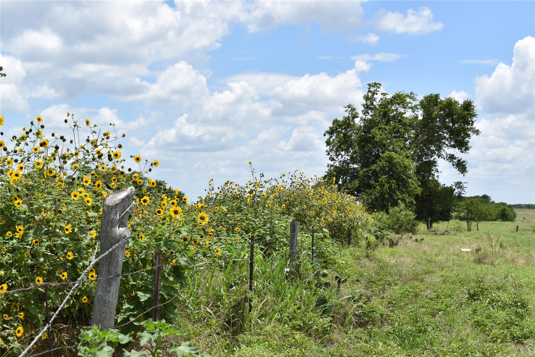 Tbd County Road 109 None Property Photo 10