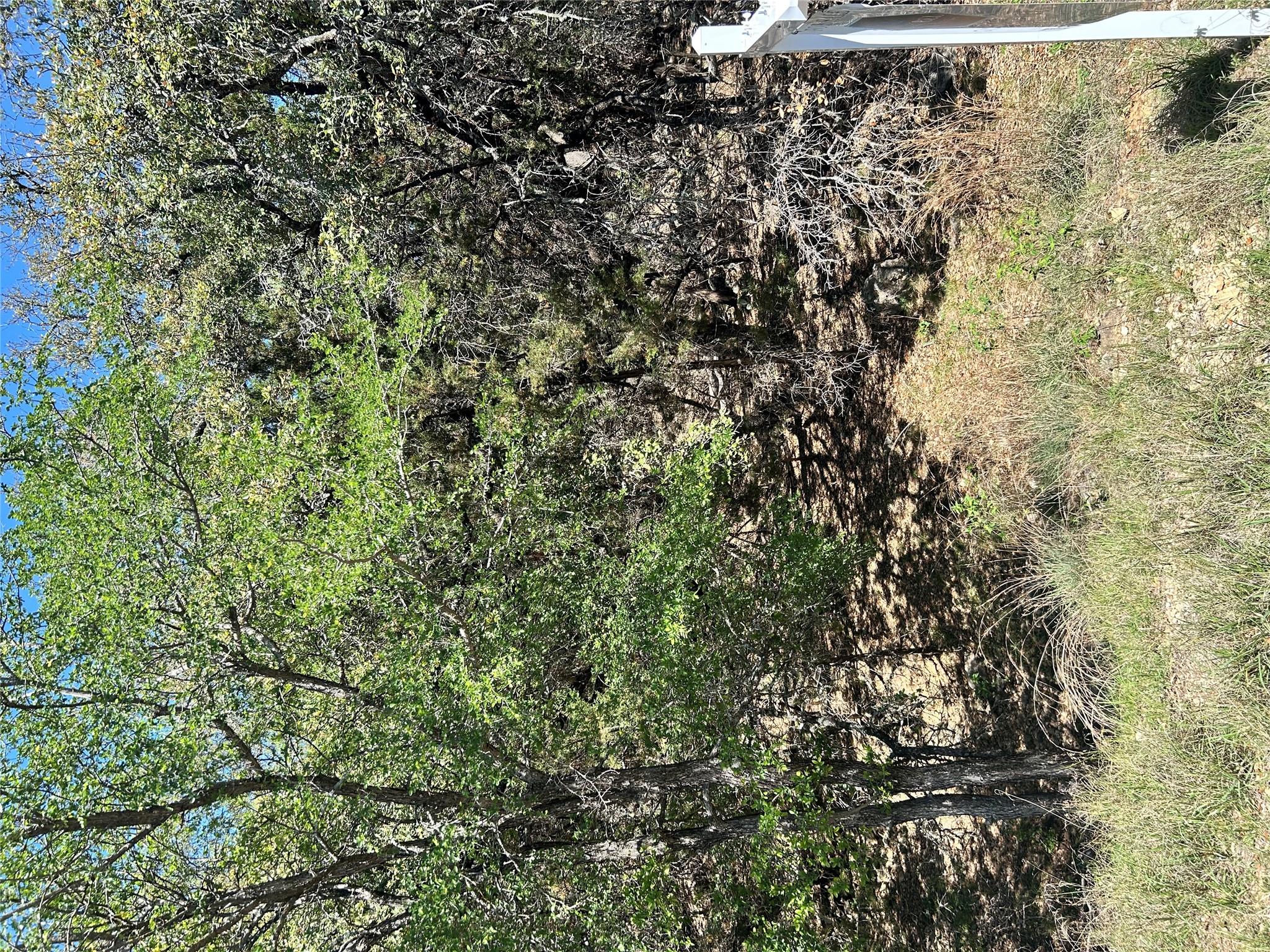 21502 Cardinal Ave Property Photo 1