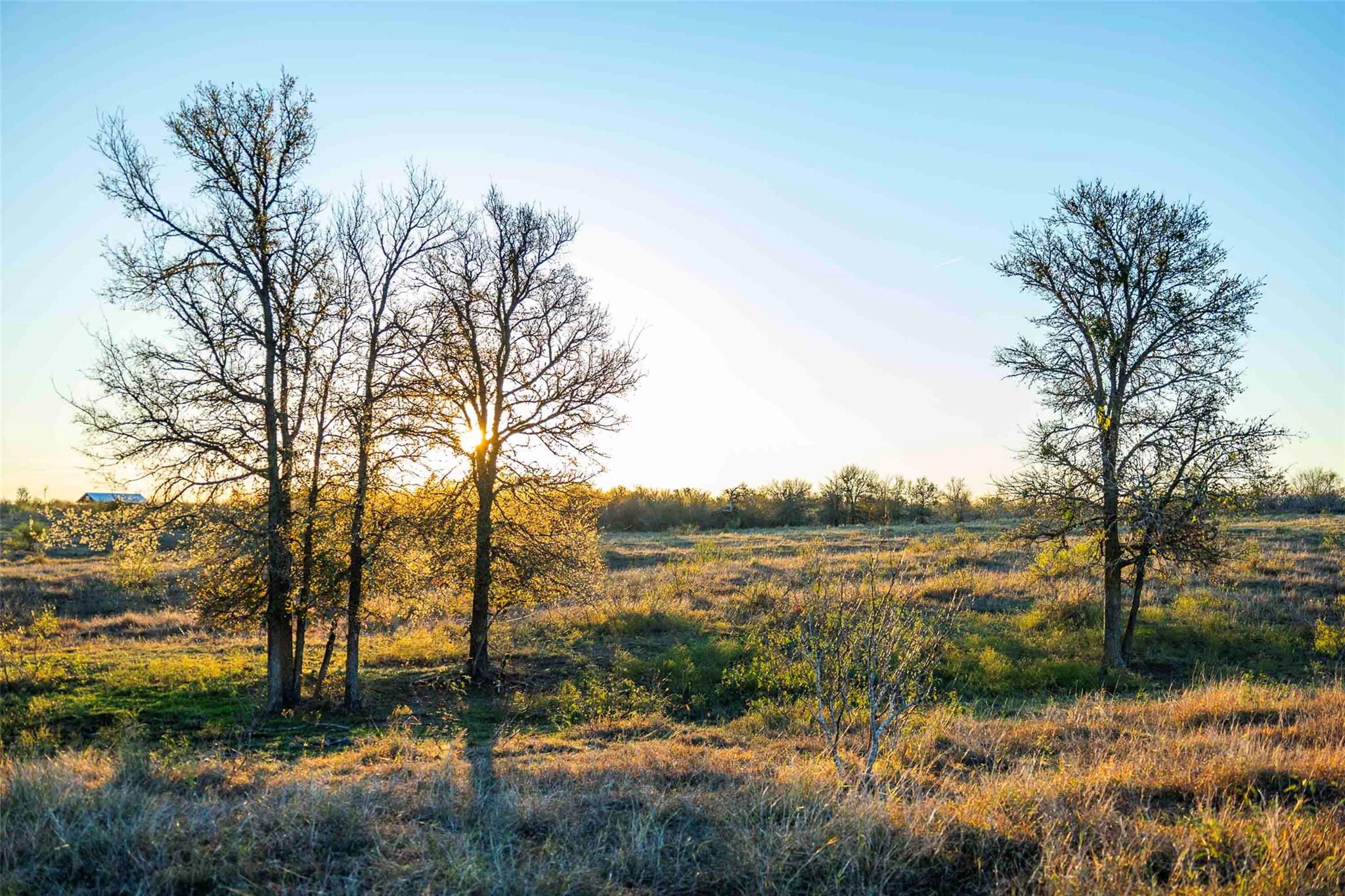 3191 County Road 463 None Property Photo 1