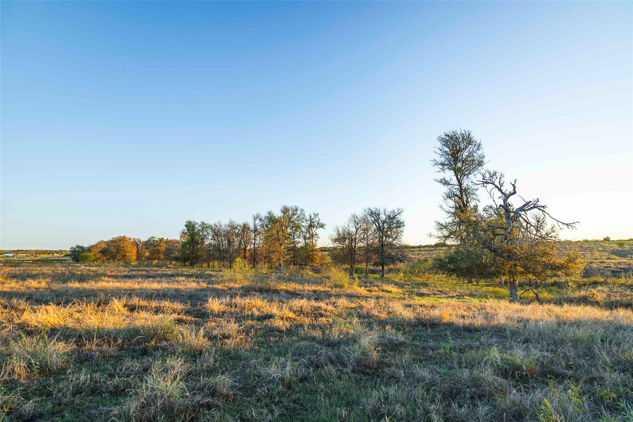 3191 County Road 463 None Property Photo 2