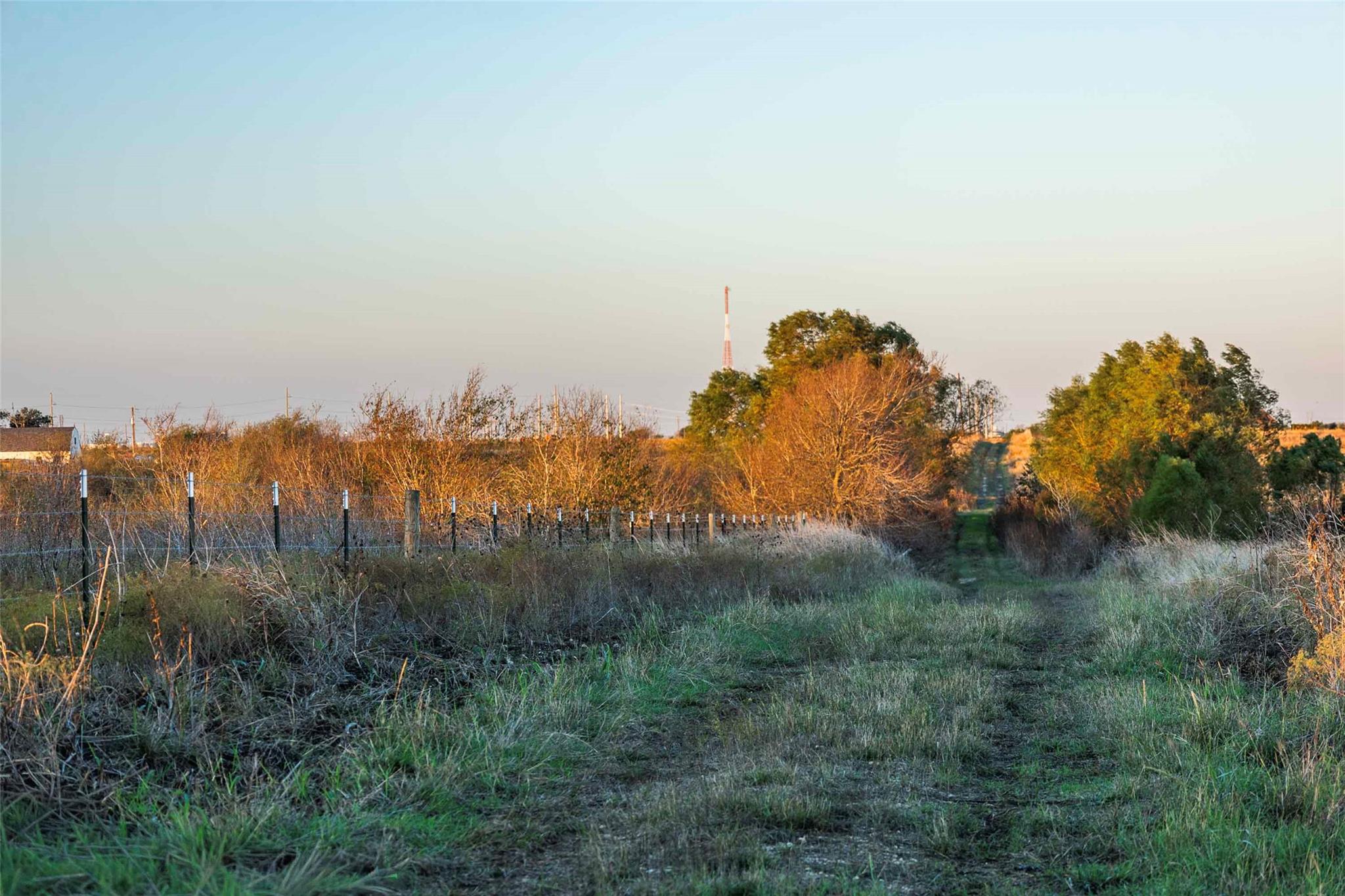3191 County Road 463 None Property Photo 6