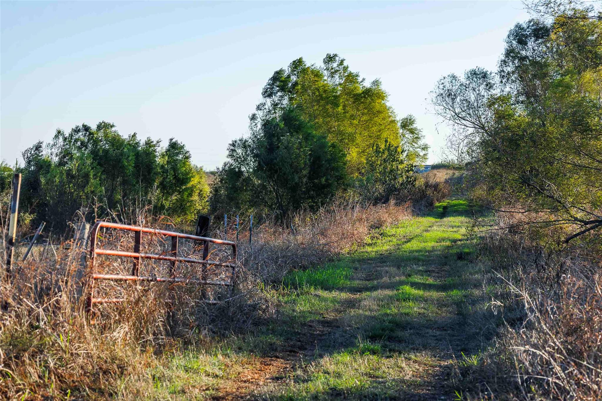 3191 County Road 463 None Property Photo 8
