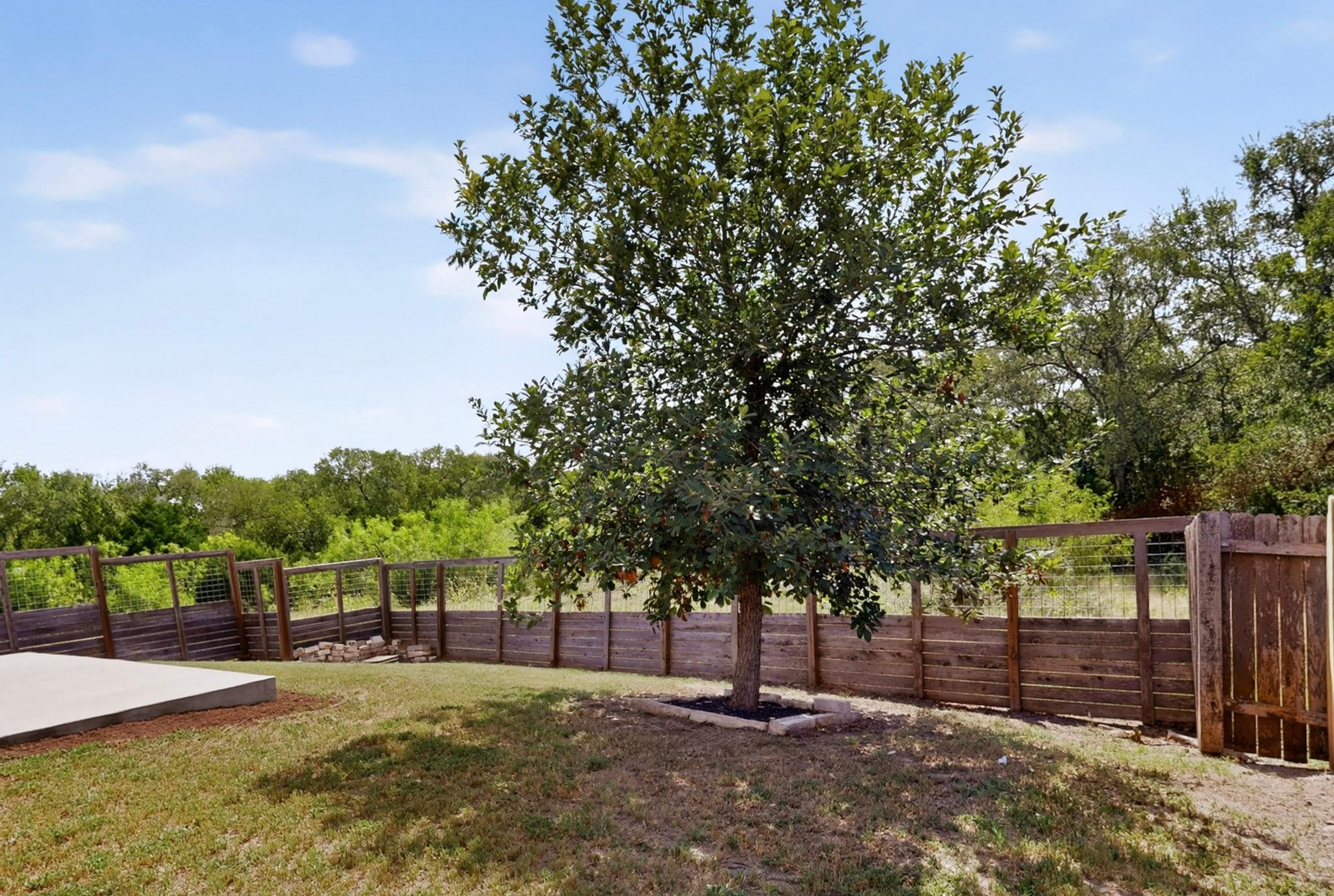 10029 Dalliance Ln Property Photo 40