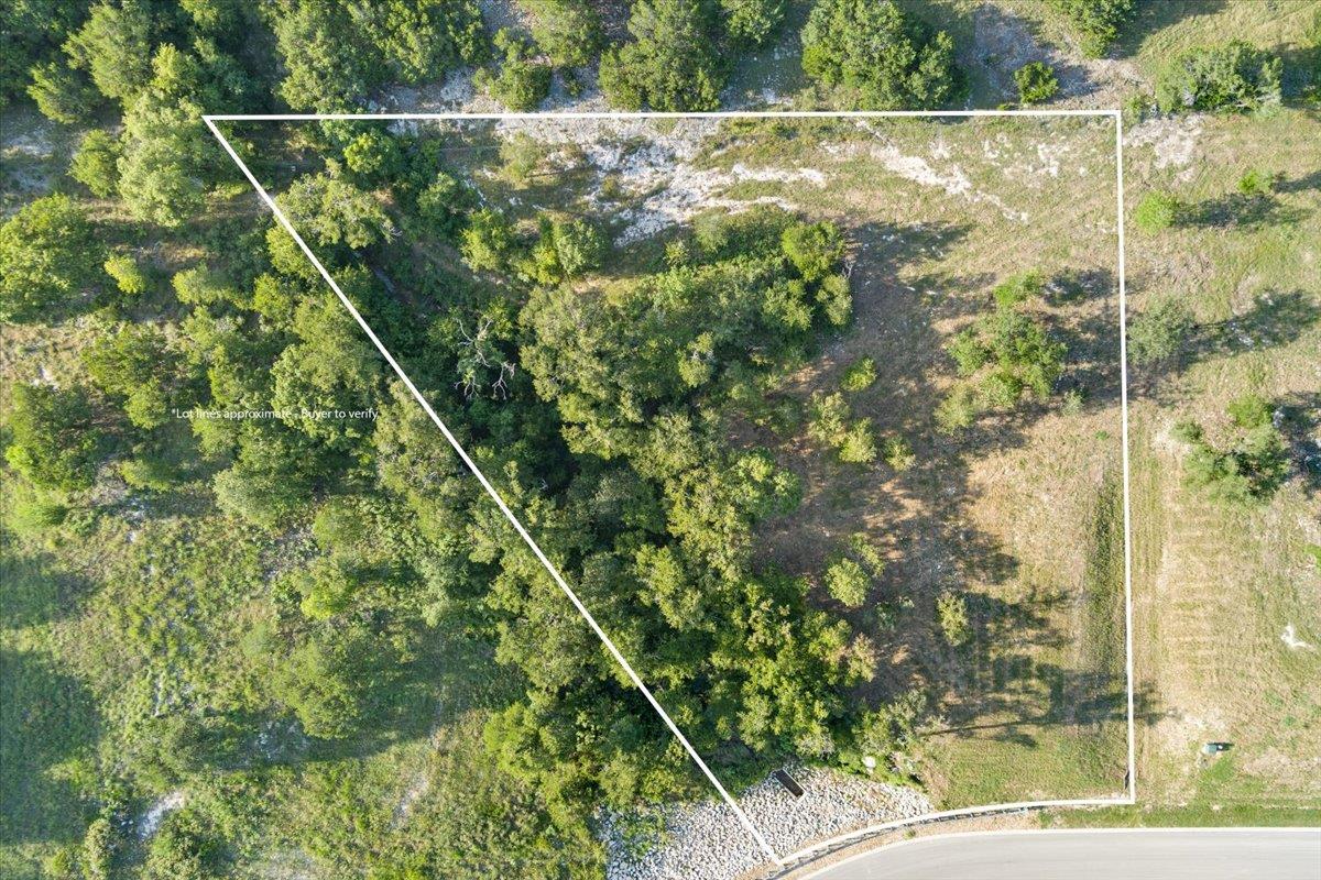 10132 Blanco Springs Rd Property Photo 2
