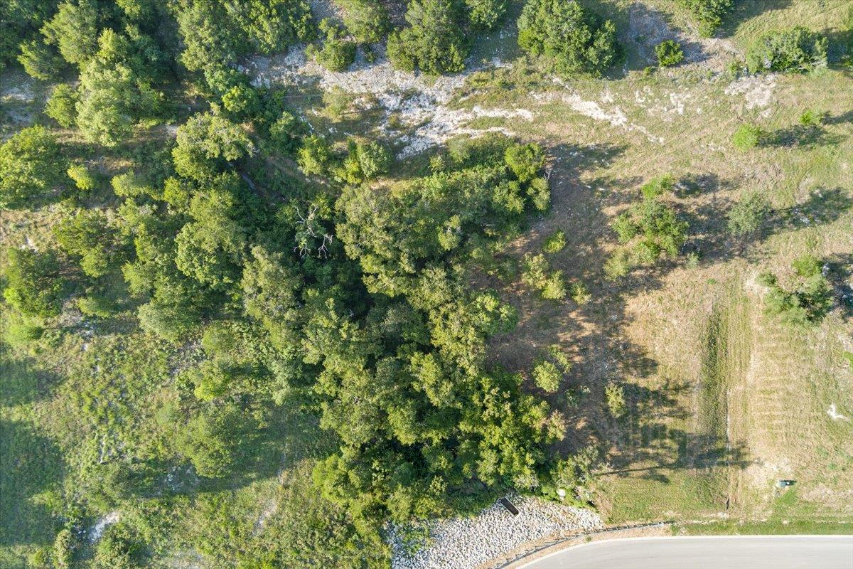 10132 Blanco Springs Rd Property Photo 4