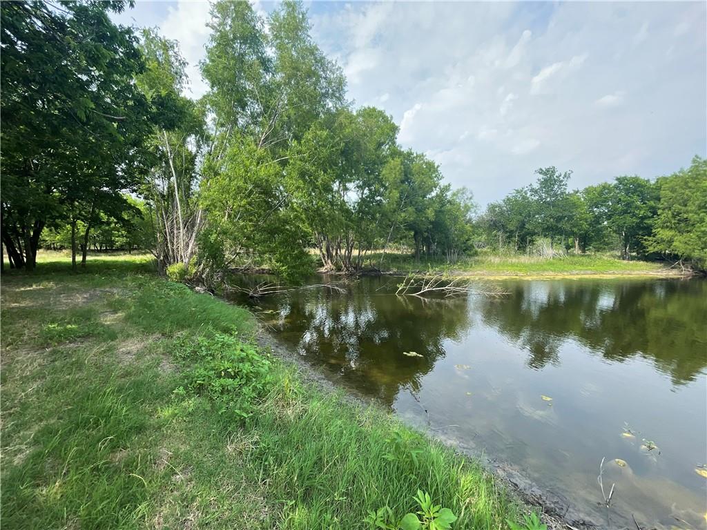 189 Co Rd 407 Property Photo 27