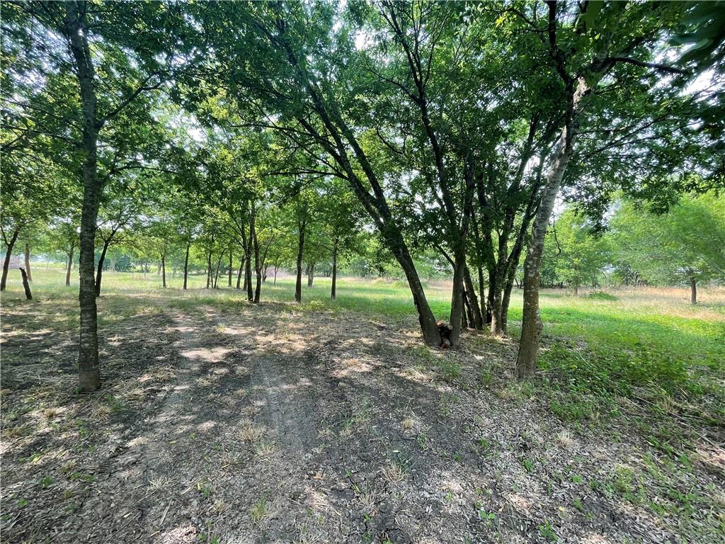 189 Co Rd 407 Property Photo 28