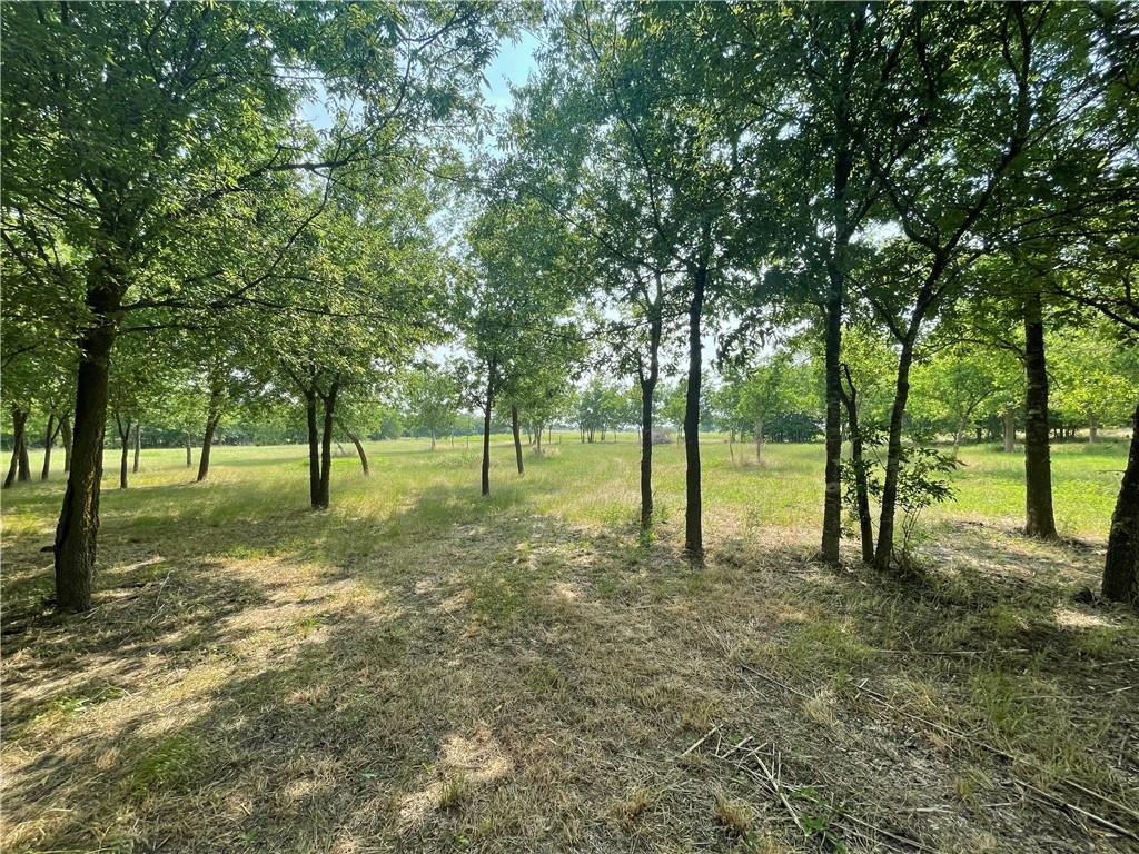189 Co Rd 407 Property Photo 30