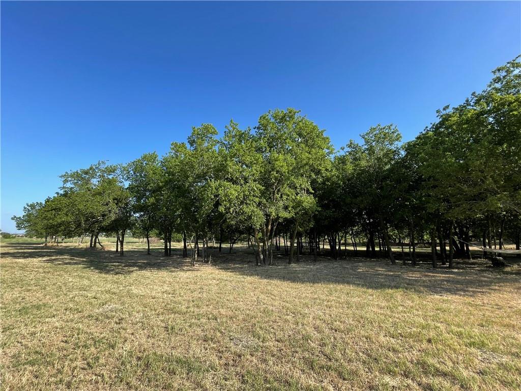 189 Co Rd 407 Property Photo 34
