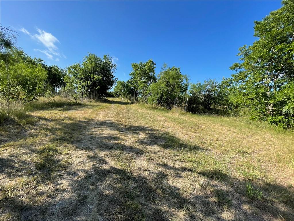 189 Co Rd 407 Property Photo 35