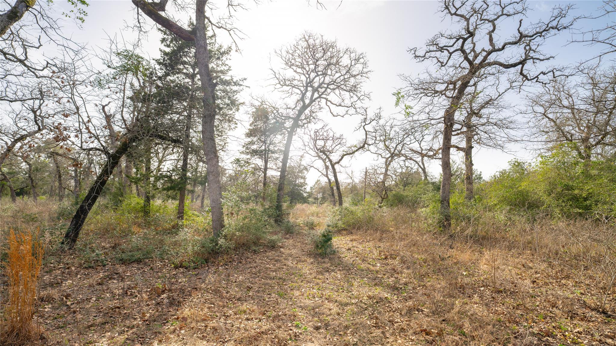 363 Private Road 3745 Property Photo