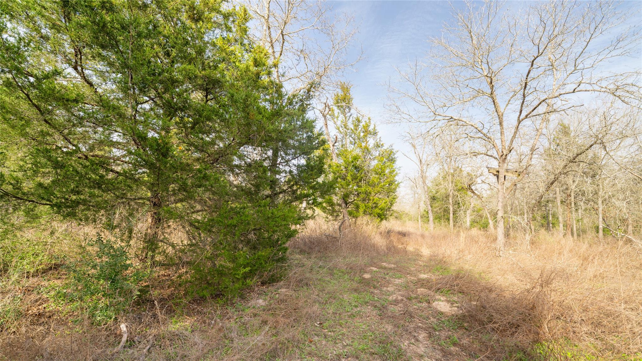 363 Private Road 3745 Property Photo 5