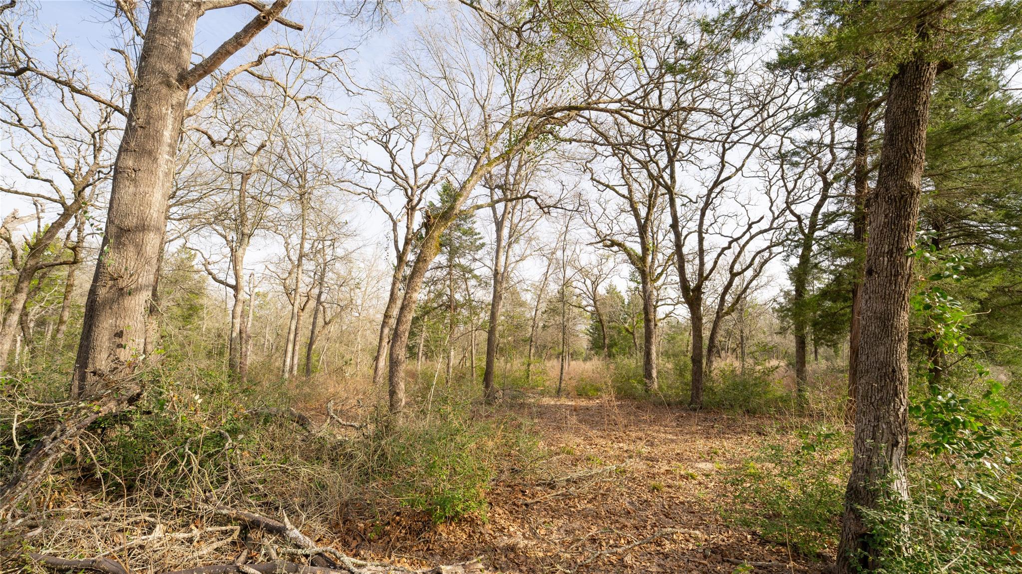 363 Private Road 3745 Property Photo 11