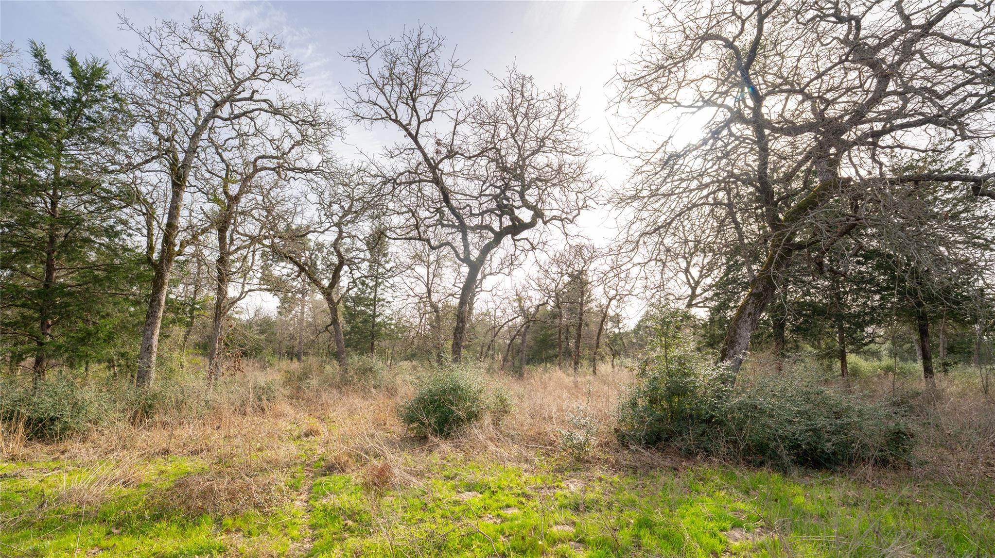 363 Private Road 3745 Property Photo 15