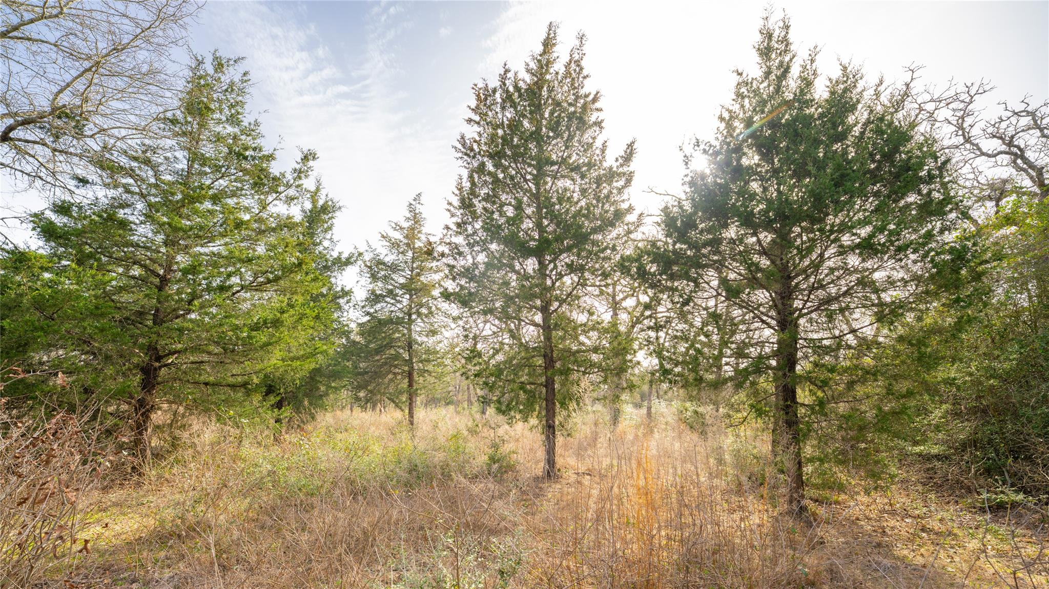 363 Private Road 3745 Property Photo 20