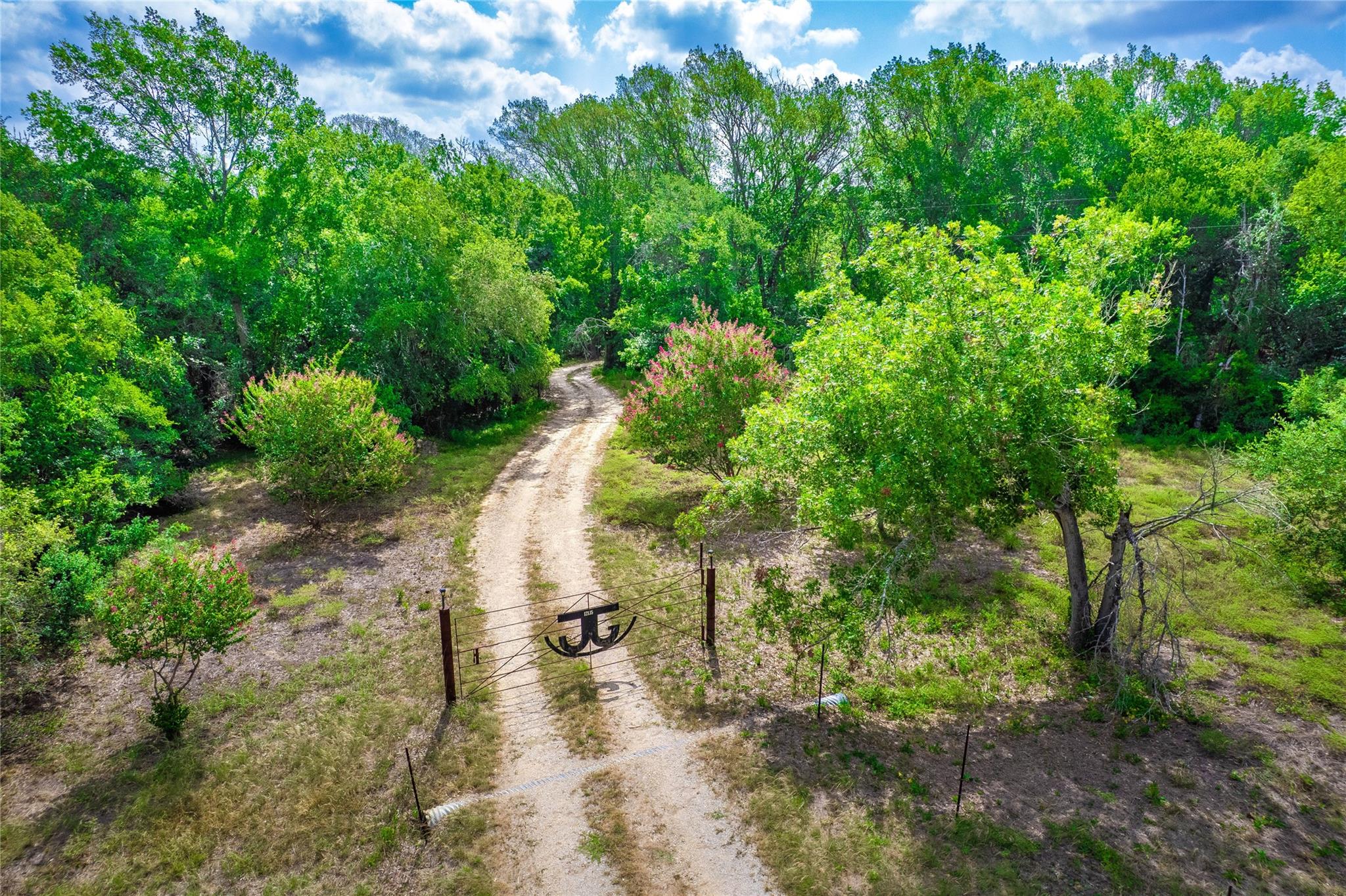 12135 Fm 1322 None Property Photo 6