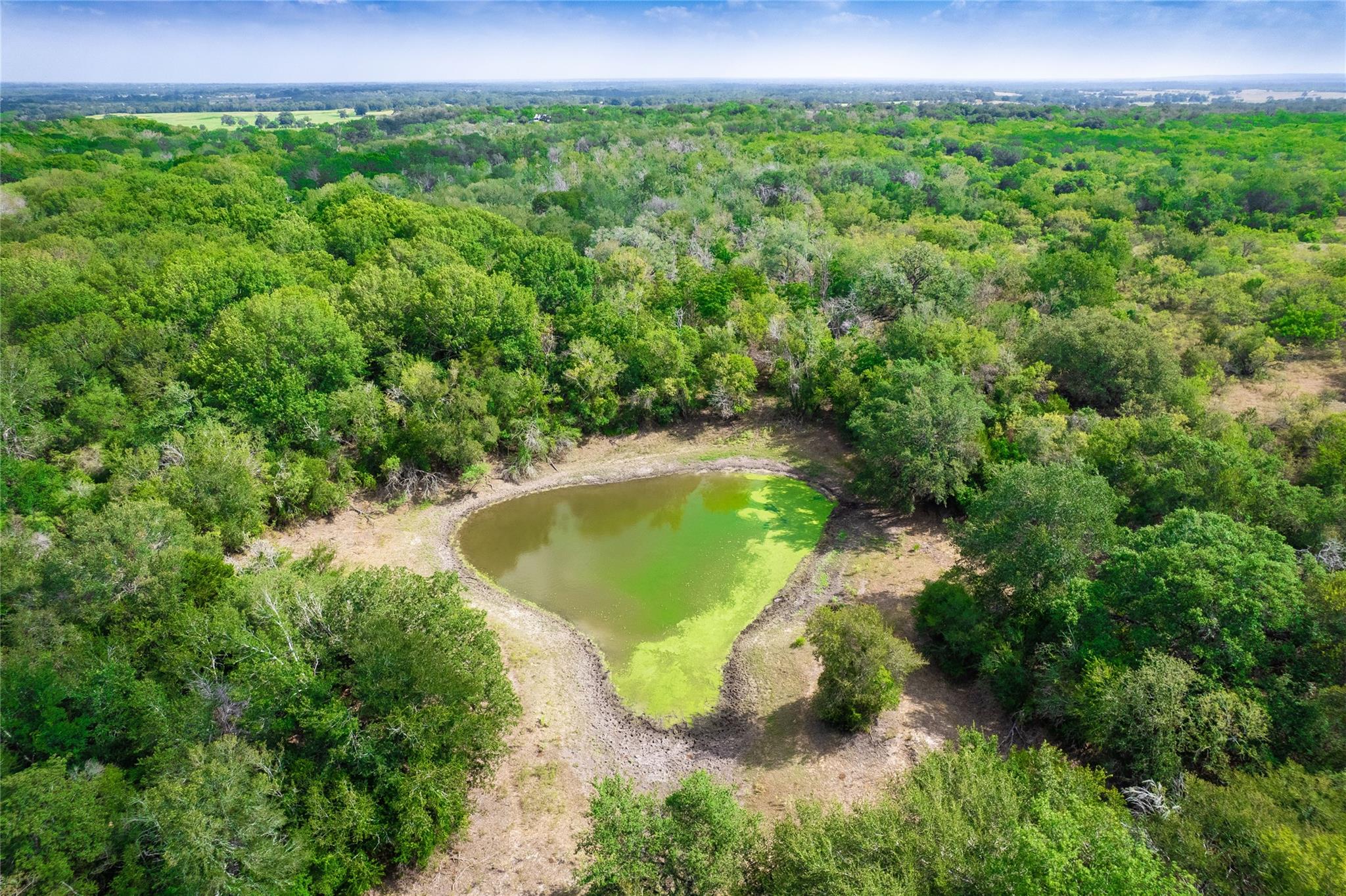 12135 Fm 1322 None Property Photo 10
