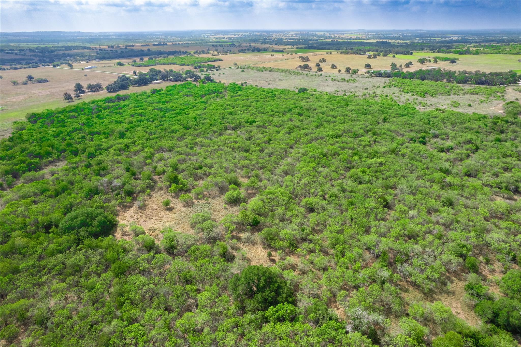 12135 Fm 1322 None Property Photo 16